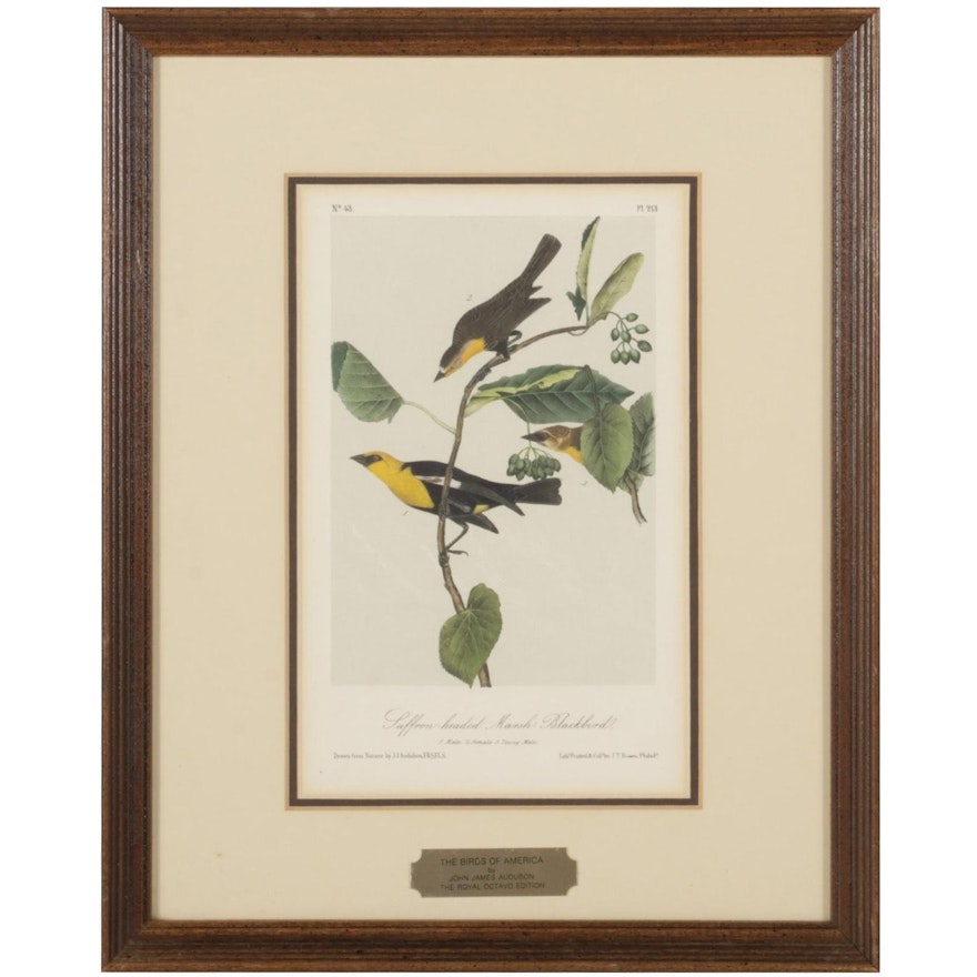 Hand-Colored Lithograph From Audubon's "The Birds of America"