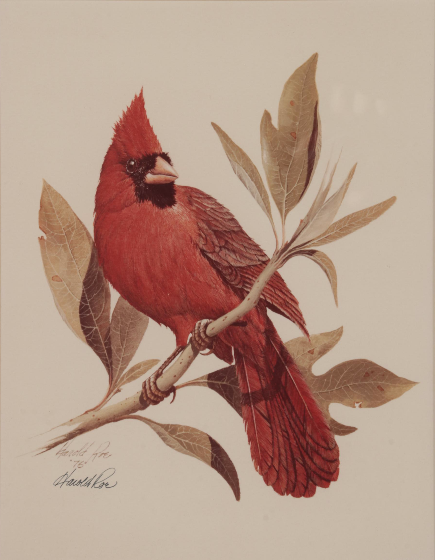 Harold Roe Avian Wildlife Offset Lithographs, Circa 1970