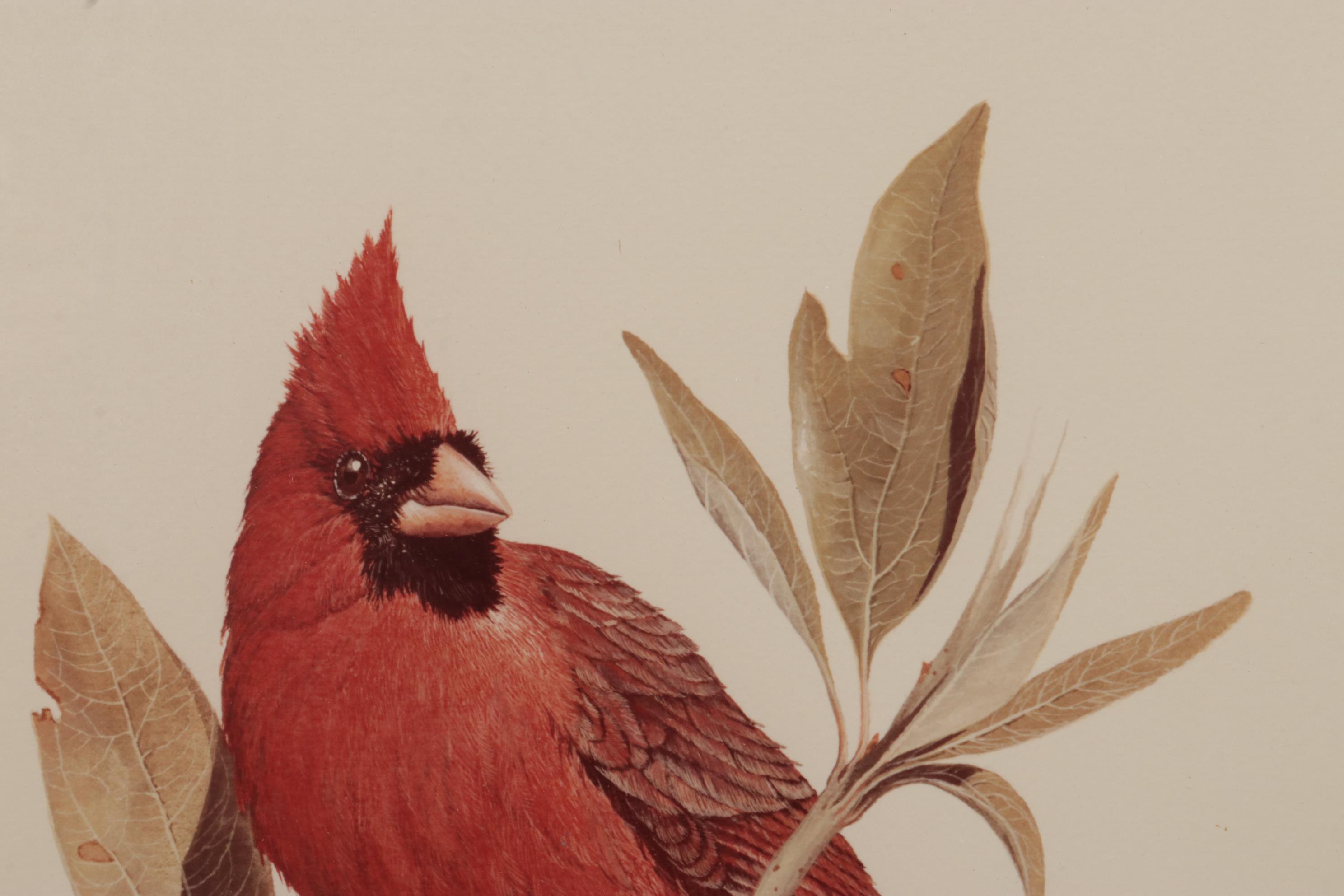 Harold Roe Avian Wildlife Offset Lithographs, Circa 1970