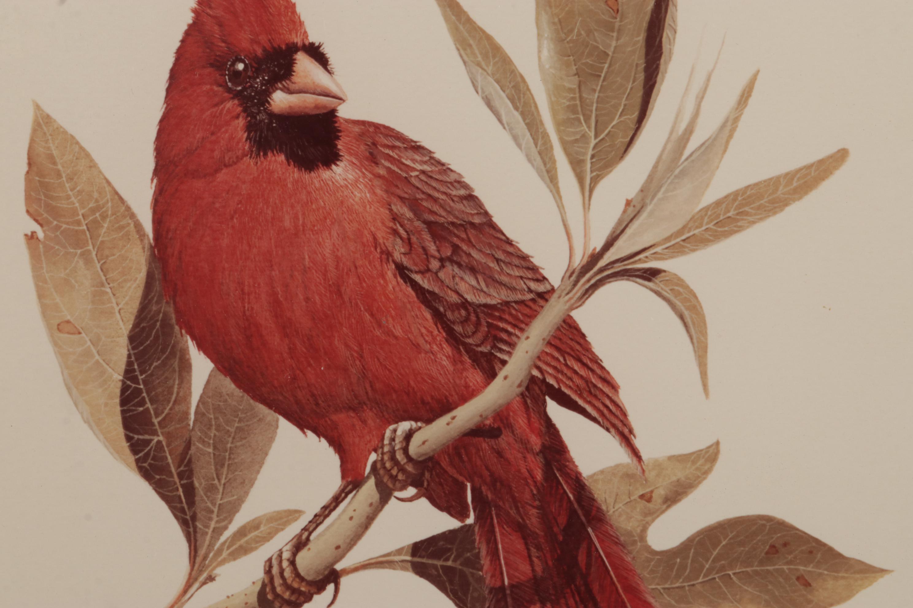 Harold Roe Avian Wildlife Offset Lithographs, Circa 1970