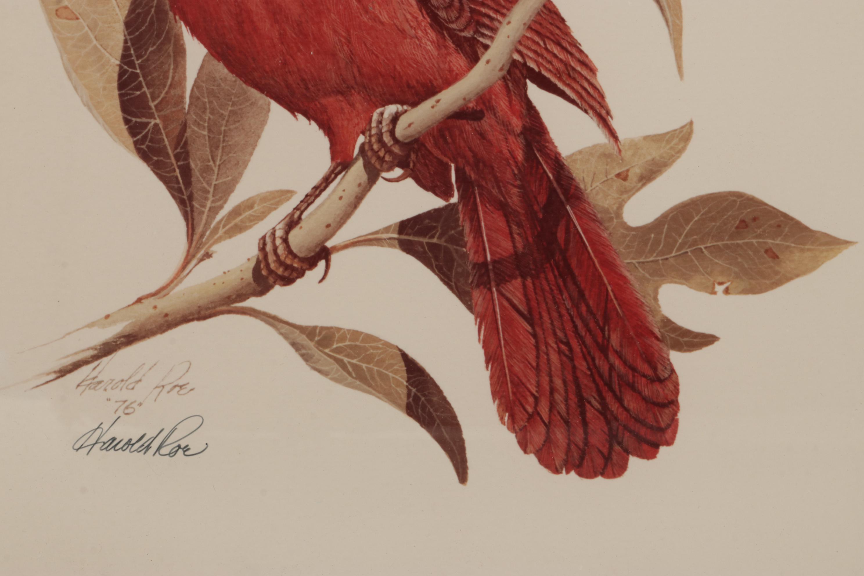 Harold Roe Avian Wildlife Offset Lithographs, Circa 1970