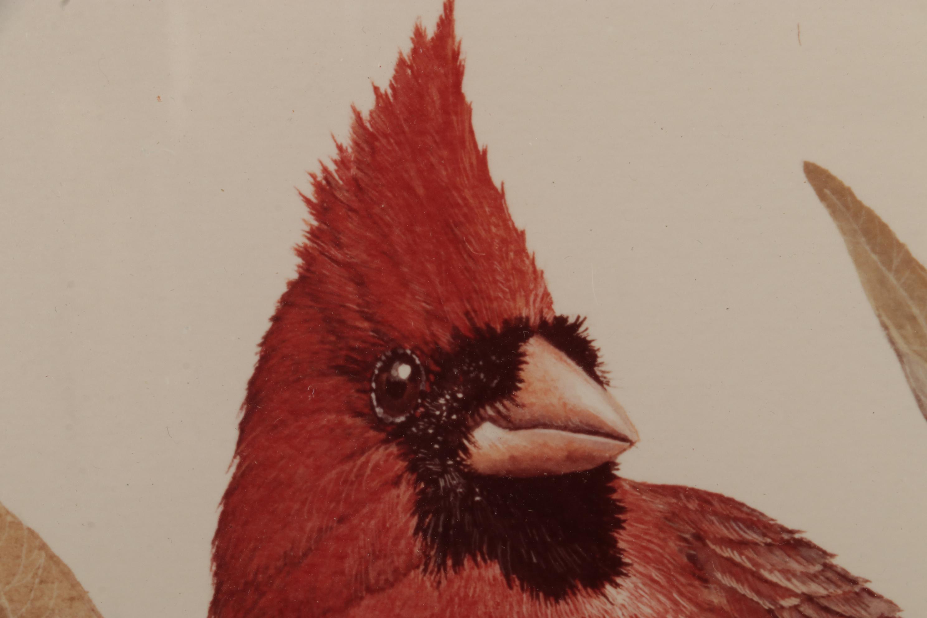 Harold Roe Avian Wildlife Offset Lithographs, Circa 1970