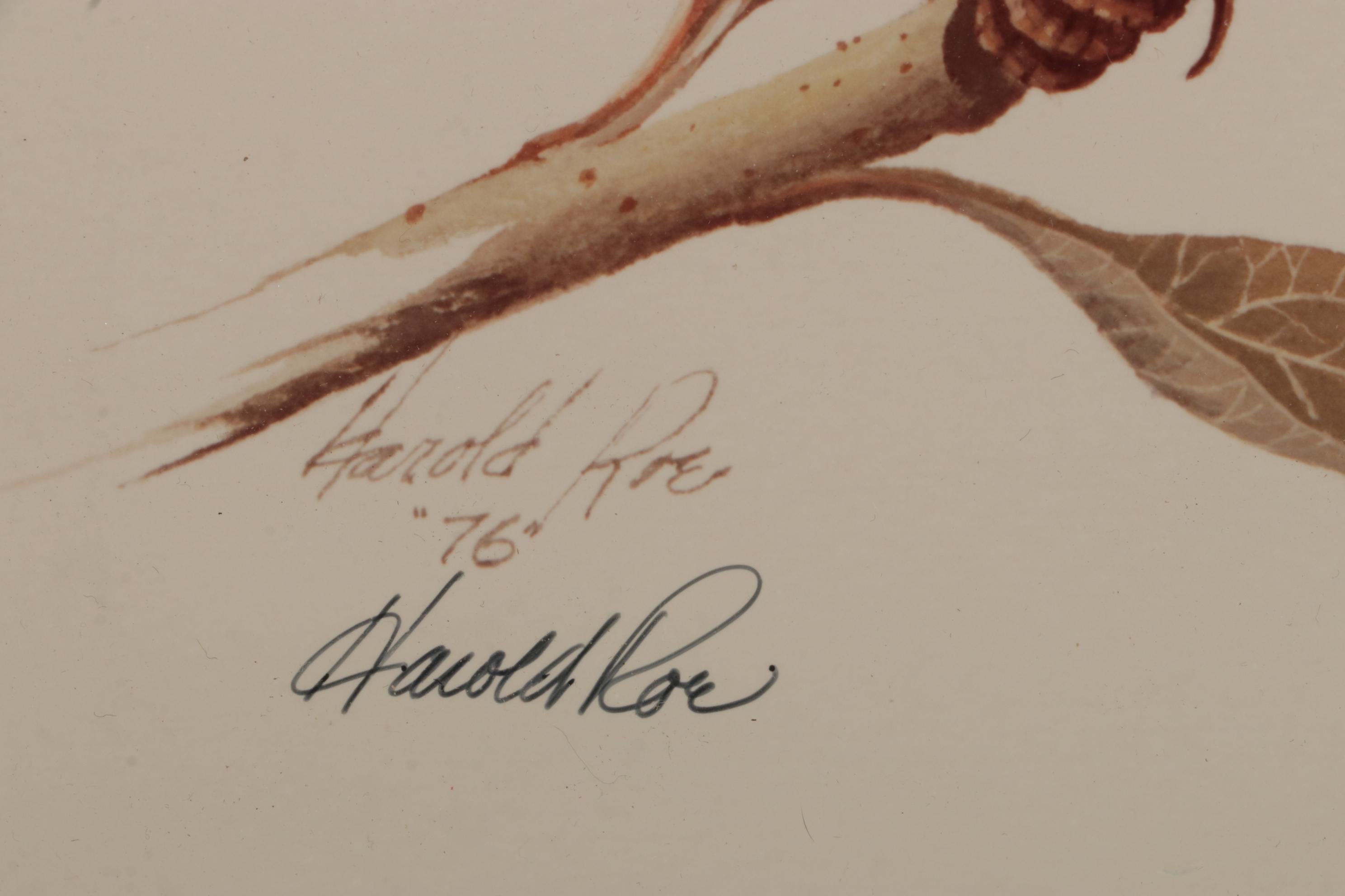 Harold Roe Avian Wildlife Offset Lithographs, Circa 1970