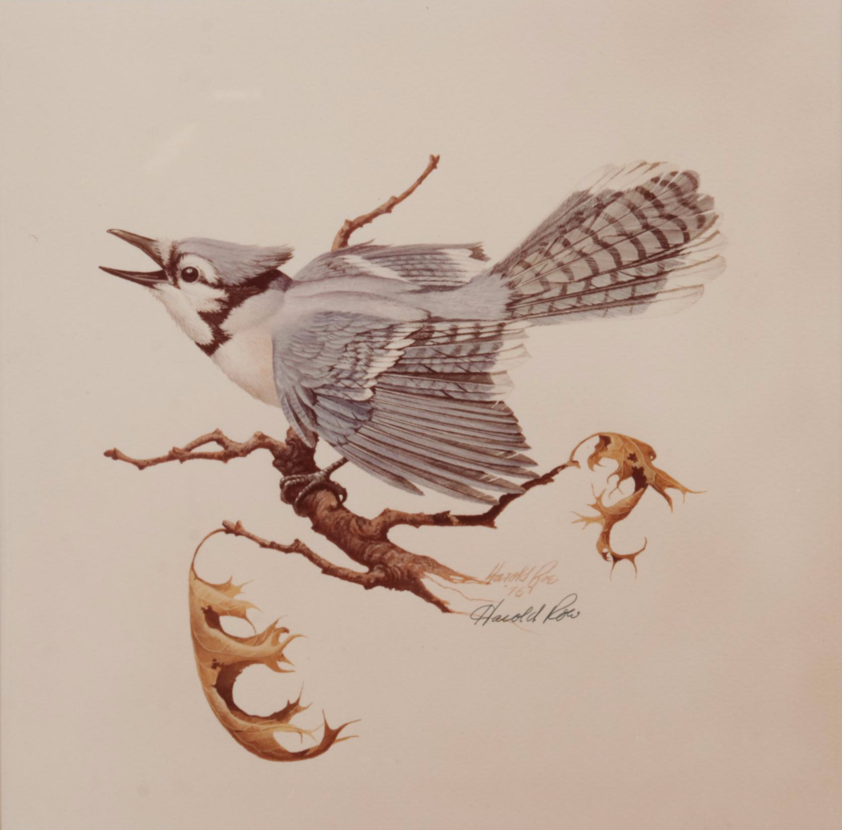 Harold Roe Avian Wildlife Offset Lithographs, Circa 1970
