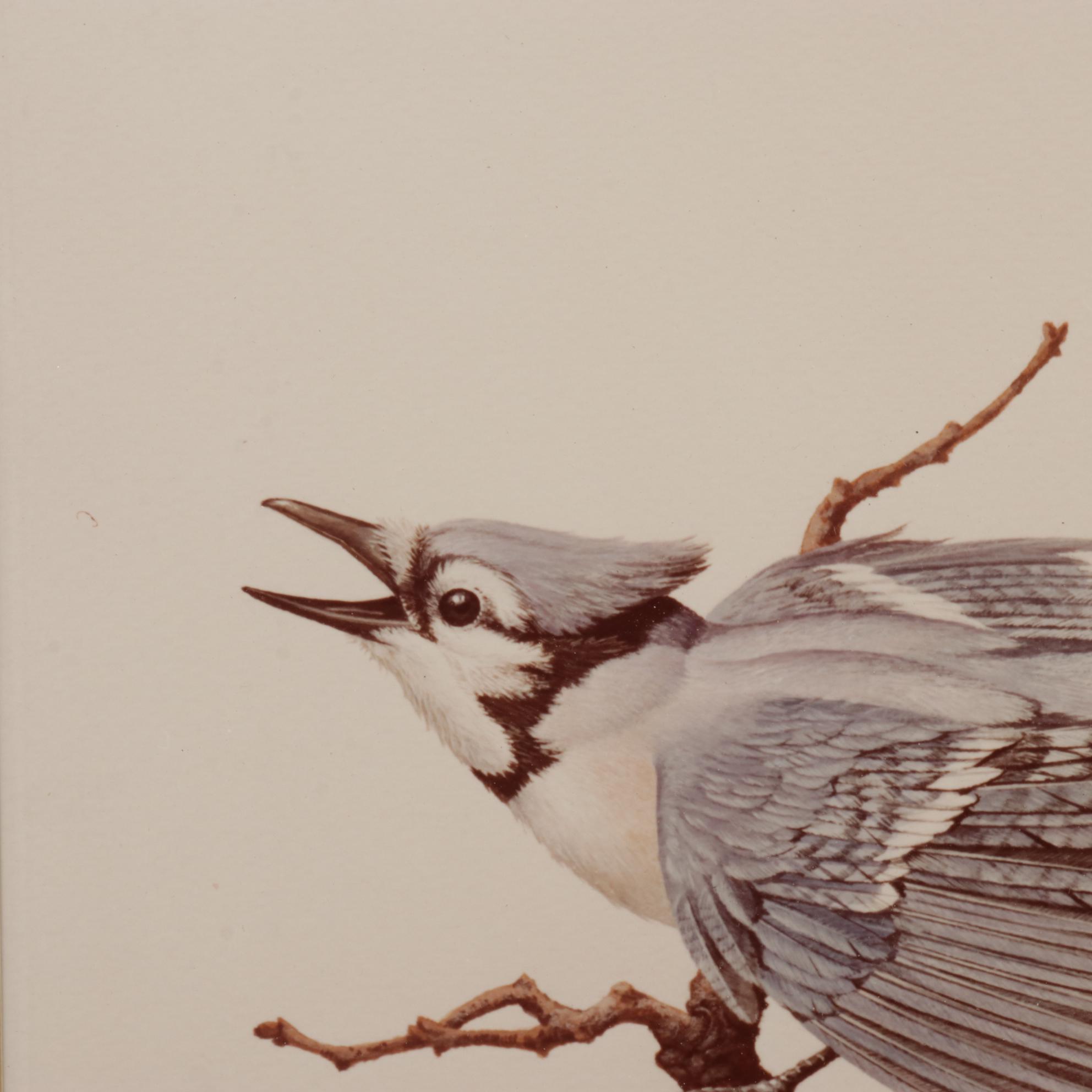 Harold Roe Avian Wildlife Offset Lithographs, Circa 1970