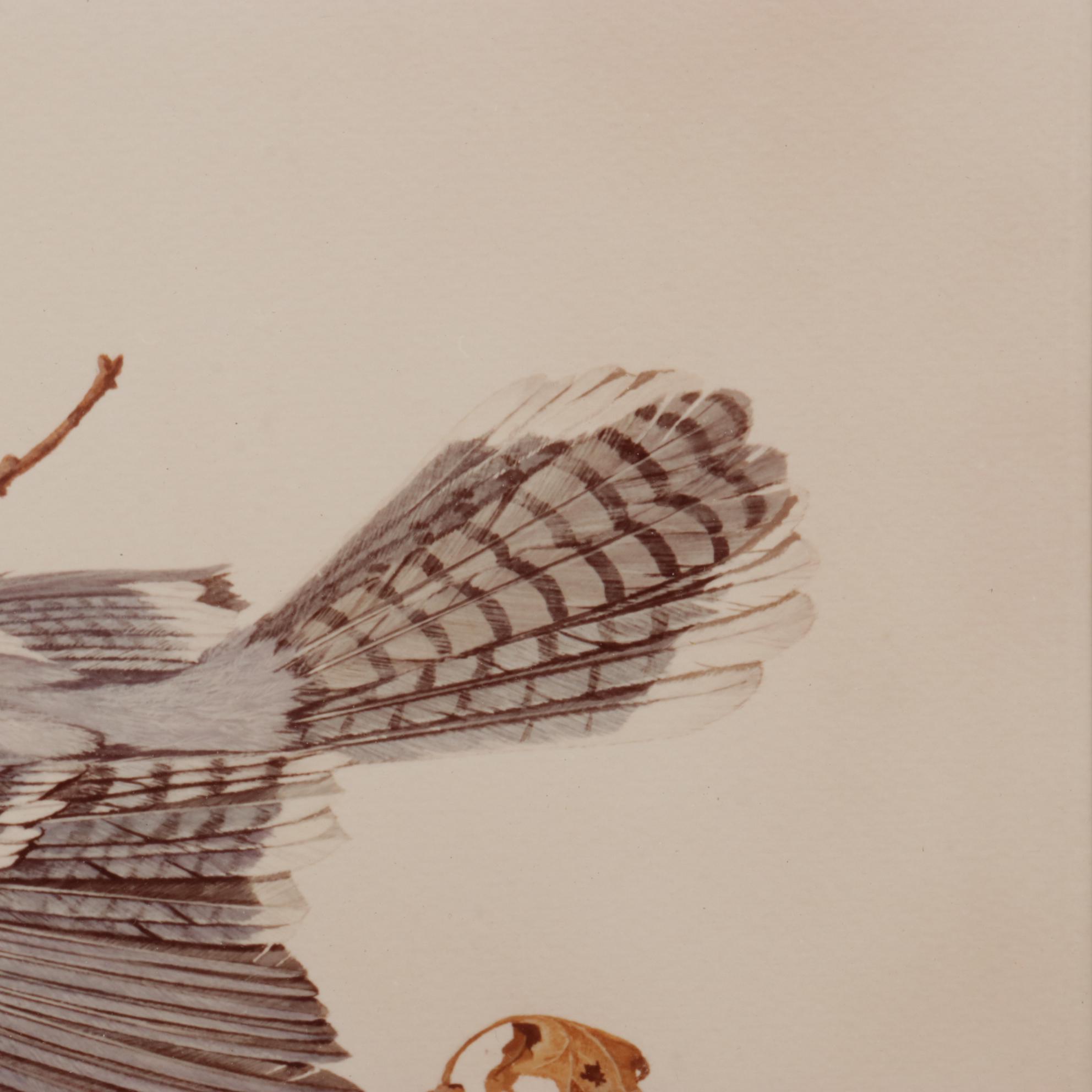 Harold Roe Avian Wildlife Offset Lithographs, Circa 1970