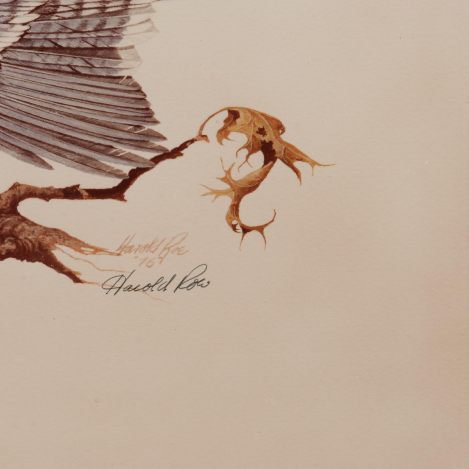 Harold Roe Avian Wildlife Offset Lithographs, Circa 1970