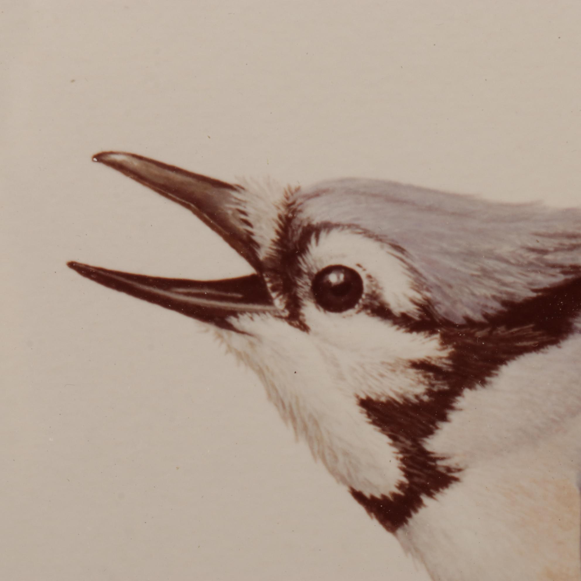 Harold Roe Avian Wildlife Offset Lithographs, Circa 1970