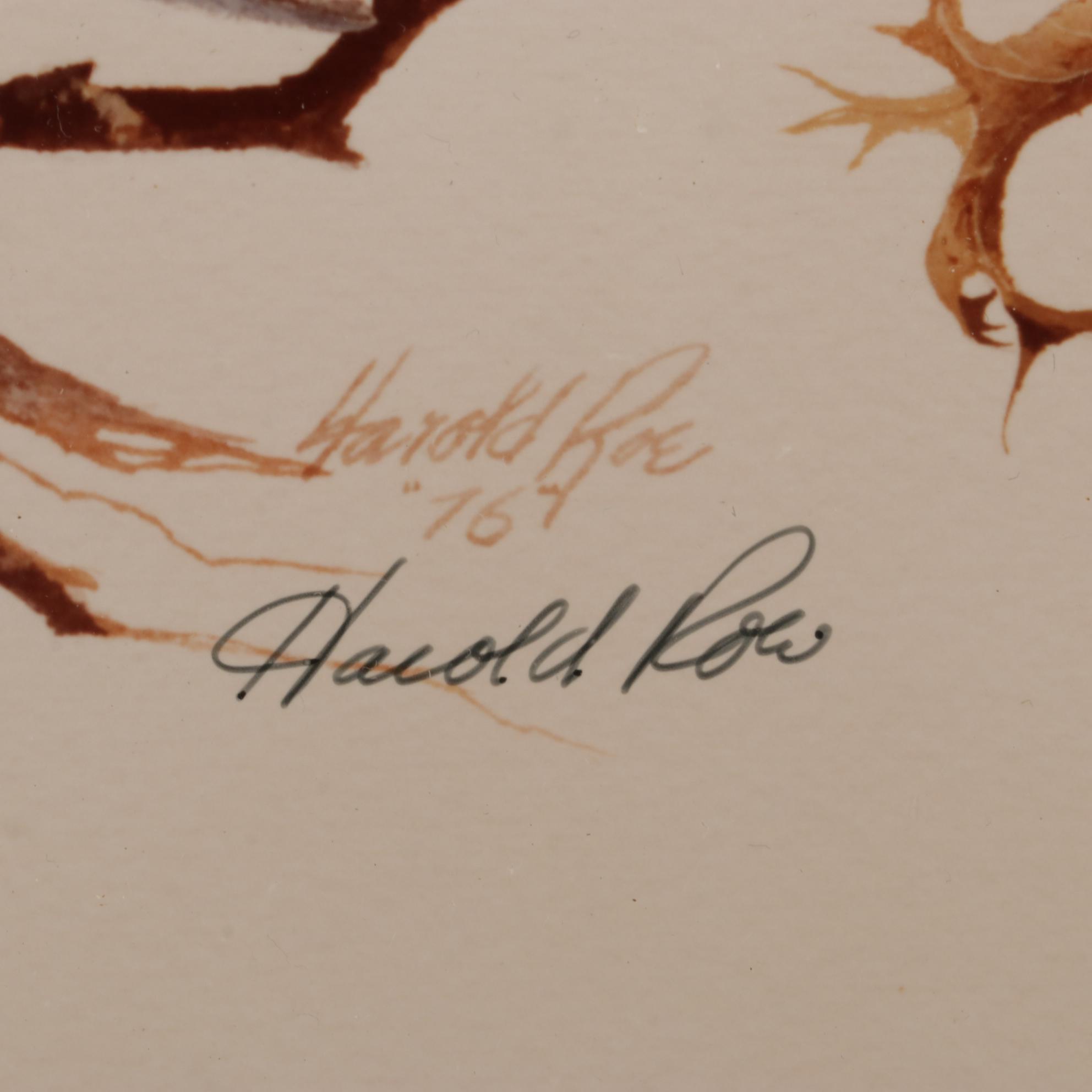 Harold Roe Avian Wildlife Offset Lithographs, Circa 1970