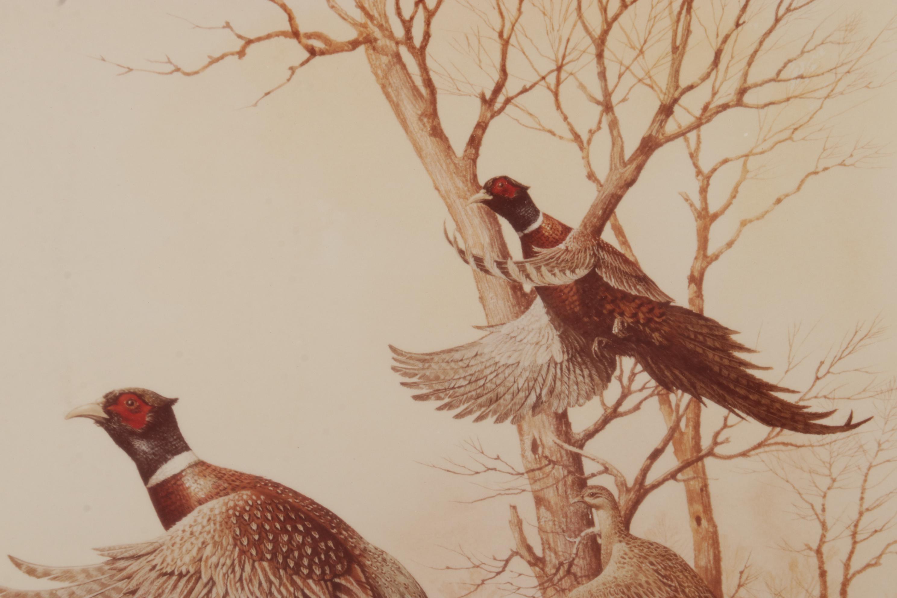Harold Roe Avian Wildlife Offset Lithographs, Circa 1970