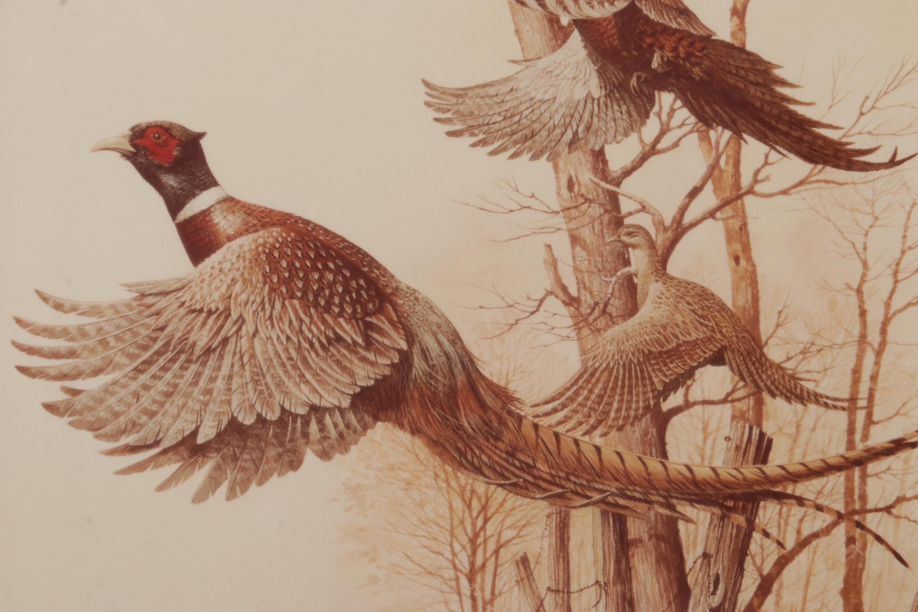Harold Roe Avian Wildlife Offset Lithographs, Circa 1970