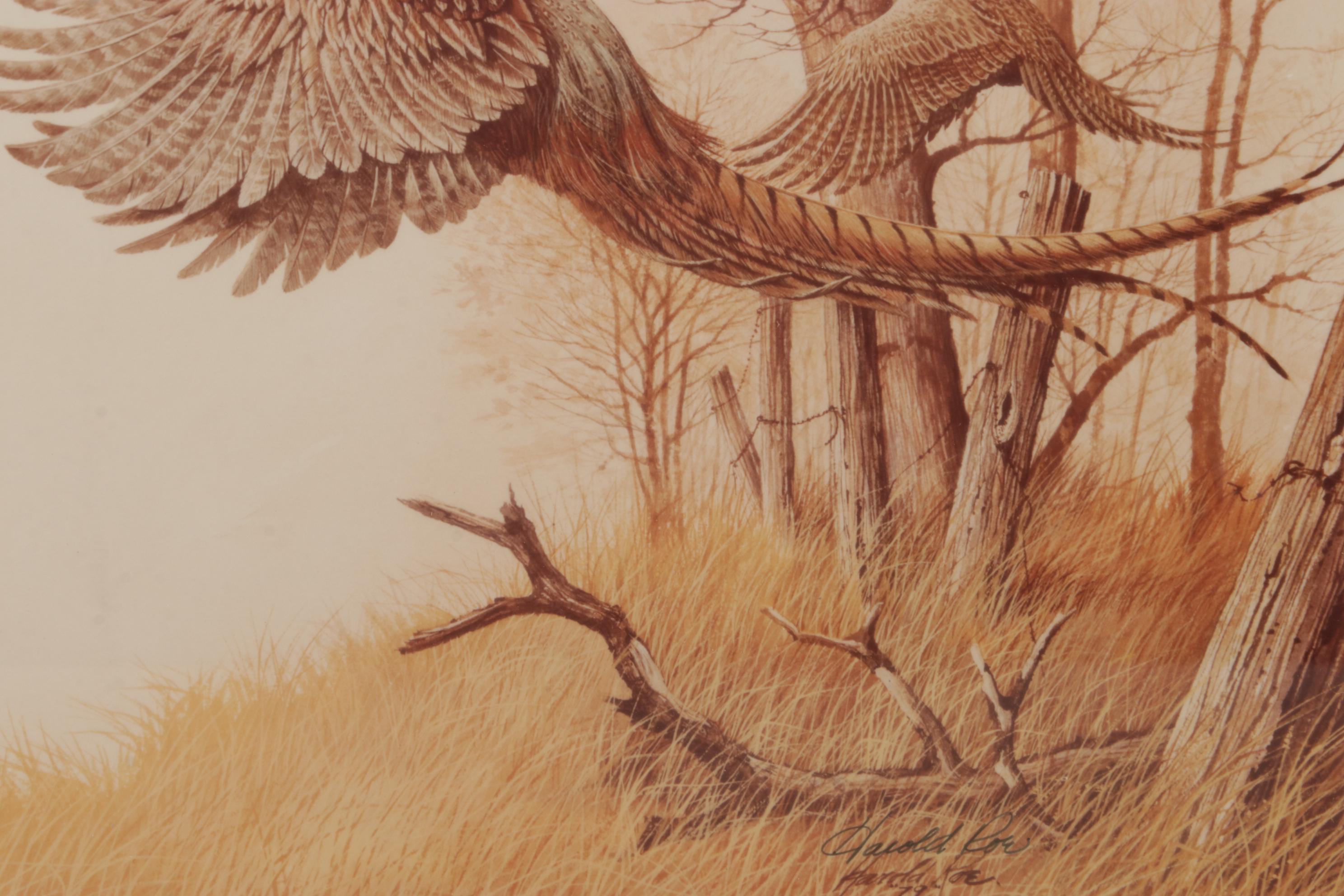 Harold Roe Avian Wildlife Offset Lithographs, Circa 1970