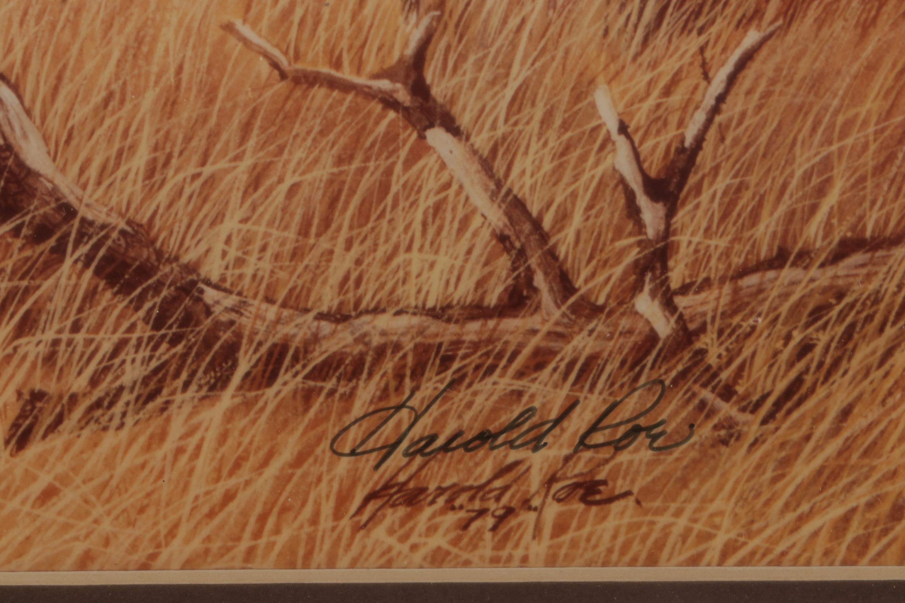 Harold Roe Avian Wildlife Offset Lithographs, Circa 1970