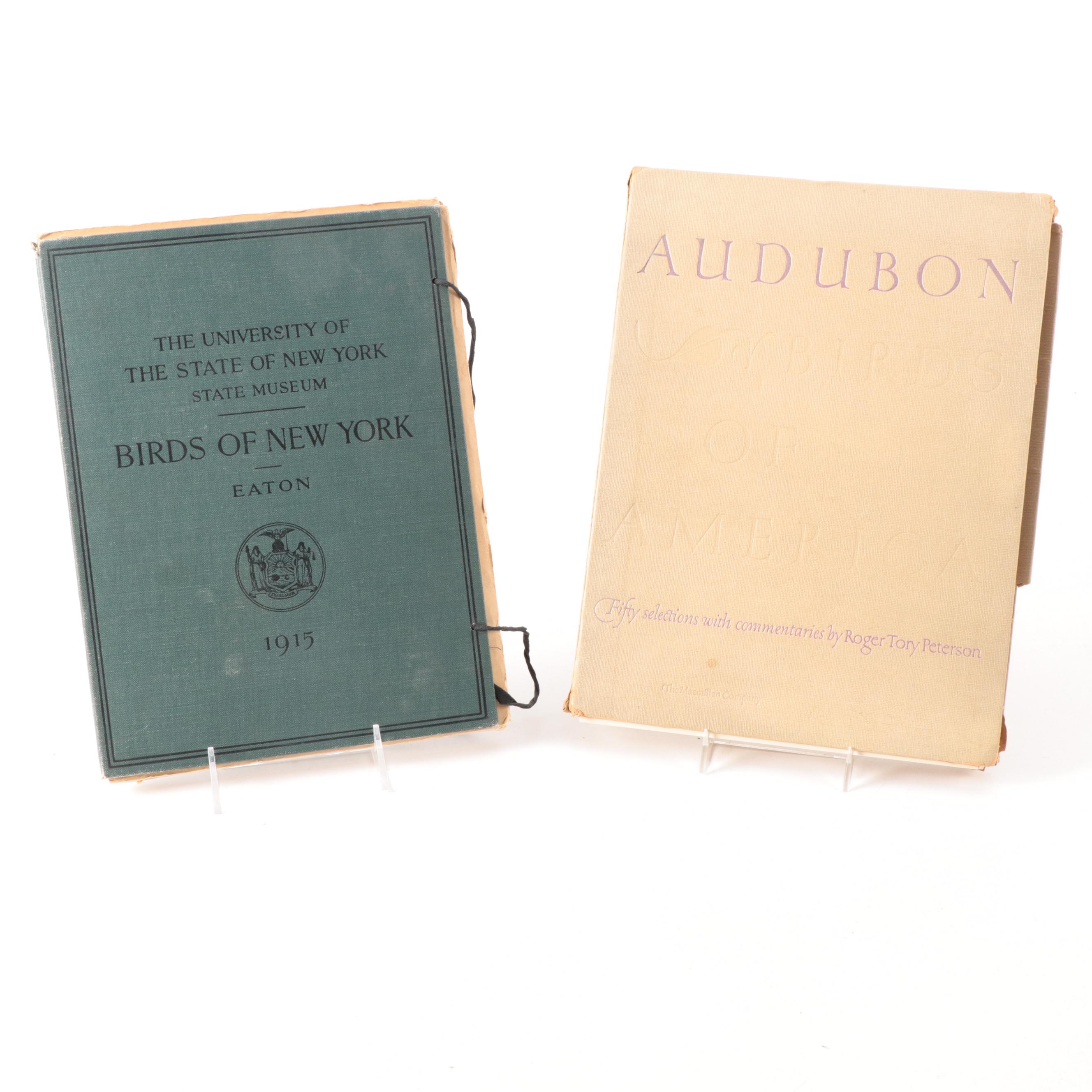 Ornithology Folios, Early to Mid-20th Century