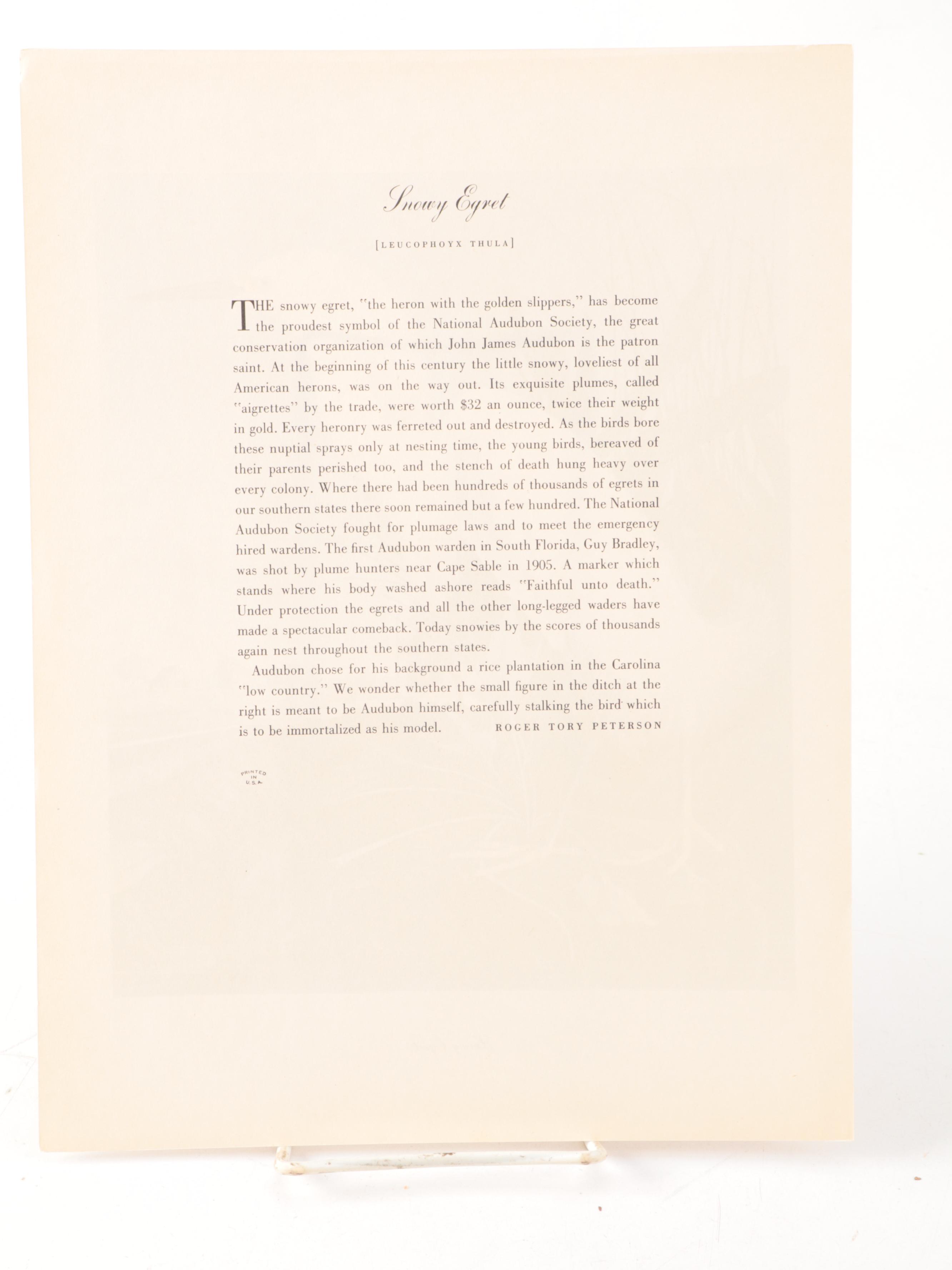 Ornithology Folios, Early to Mid-20th Century