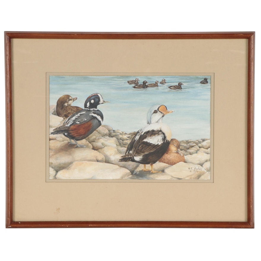 Gouache Painting of Ducks, 1976