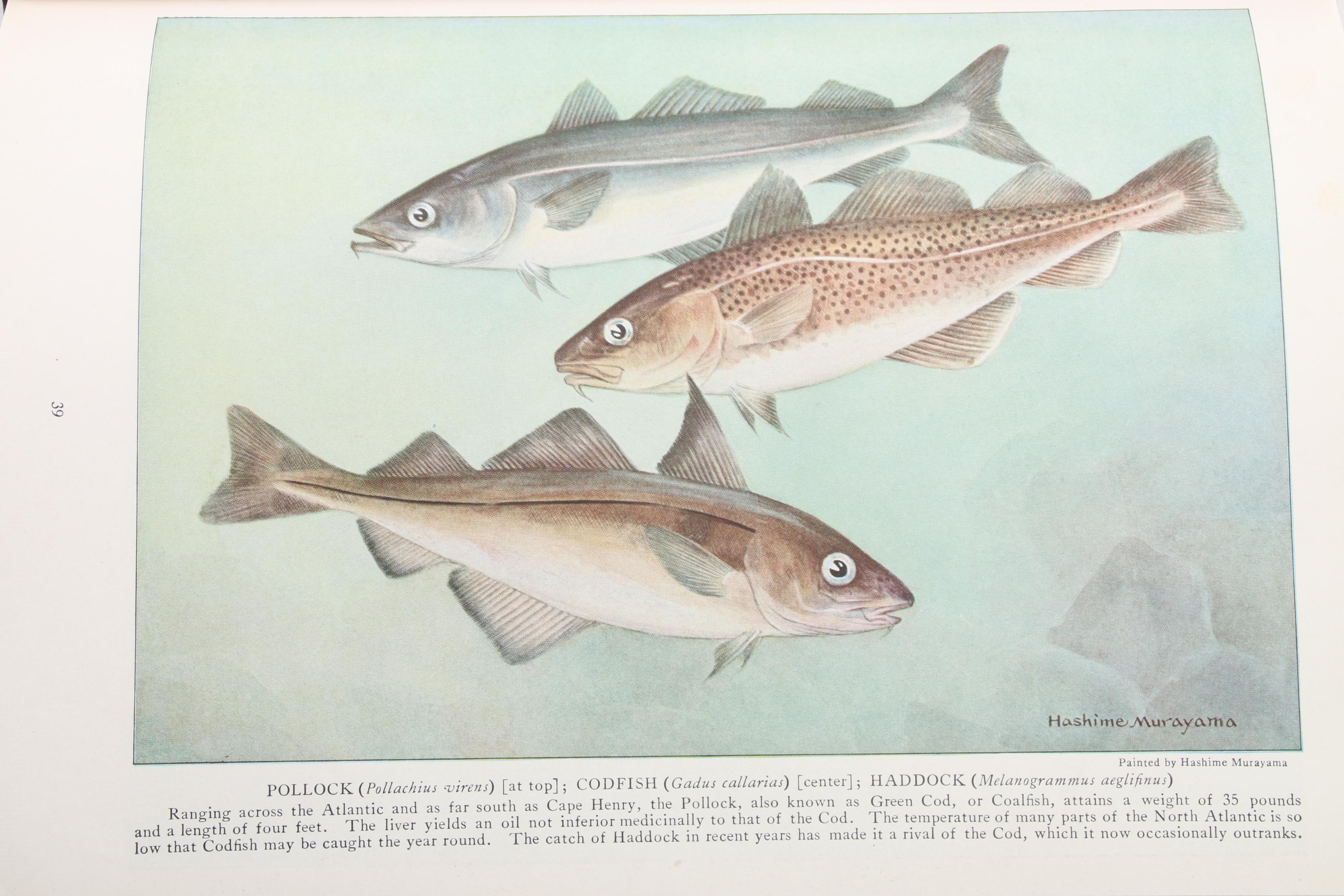 Easton Press "The Compleat Angler" by Izaak Walton and More Nonfiction Books