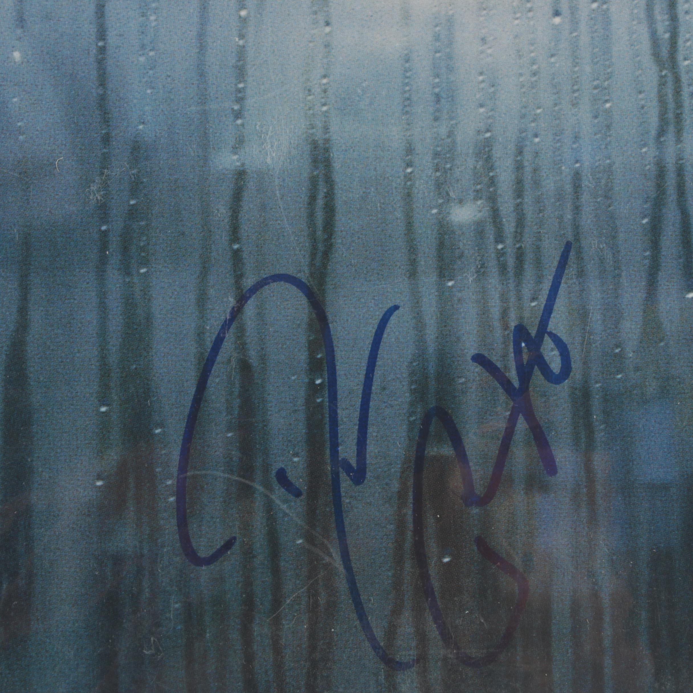 Billy Joel, Darius Rucker, Stryper, Other Signed LP Record Covers with COAs