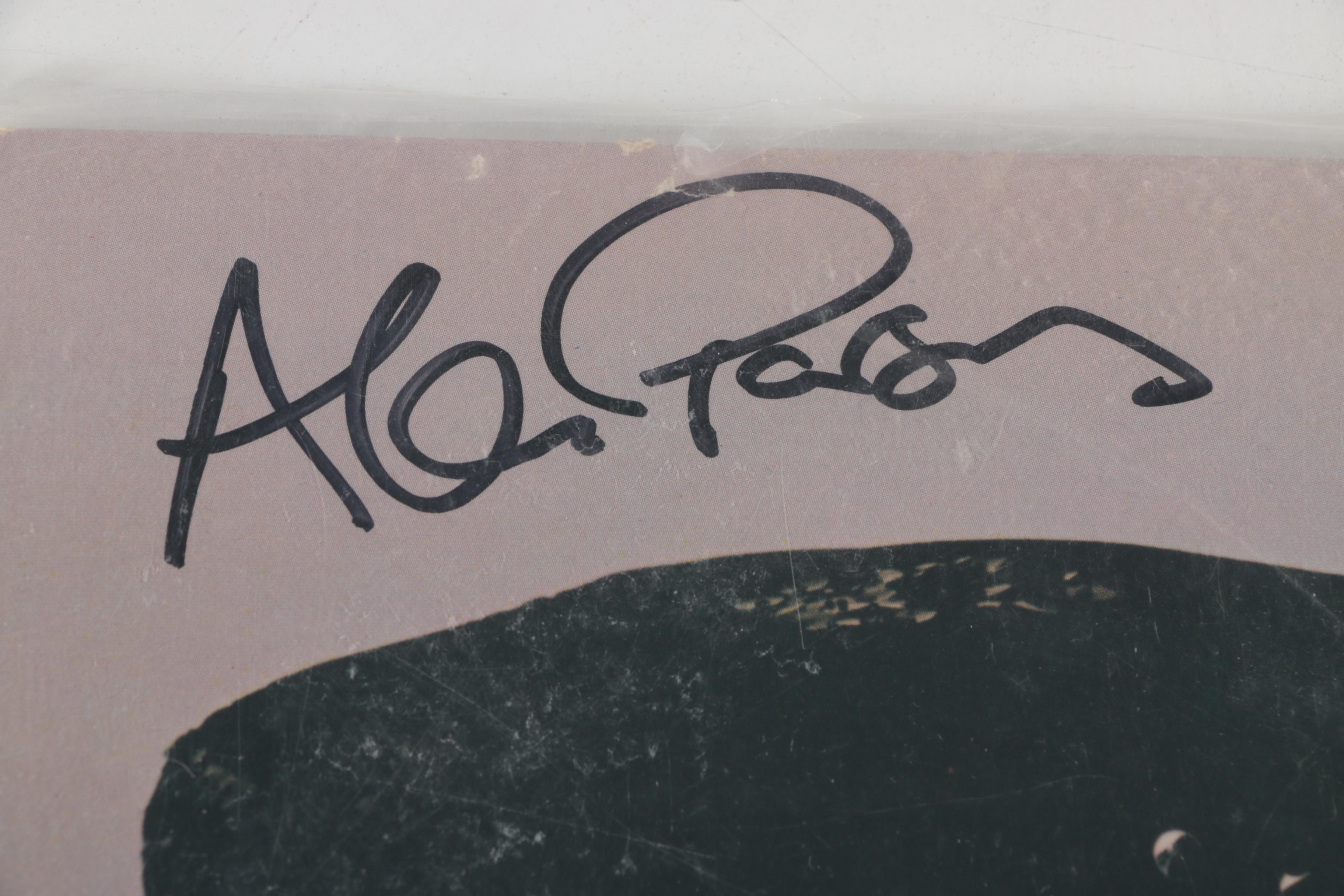 Billy Joel, Darius Rucker, Stryper, Other Signed LP Record Covers with COAs