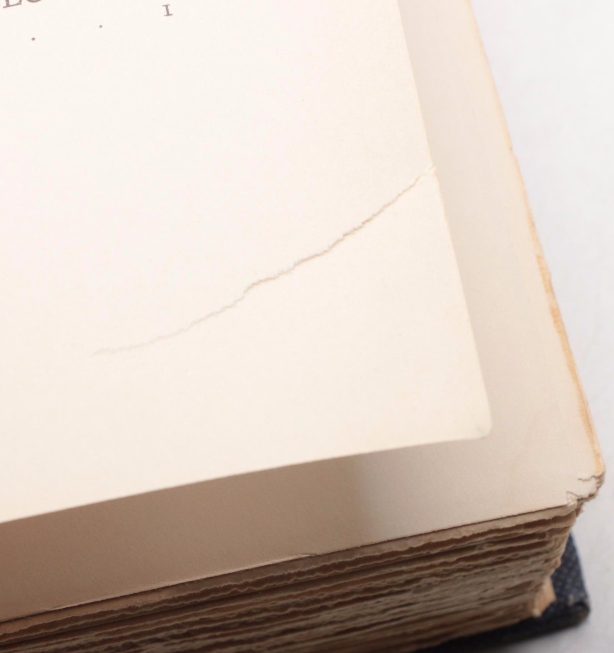 Illustrated "Dickens' Works" Temple Edition De Luxe Partial Series