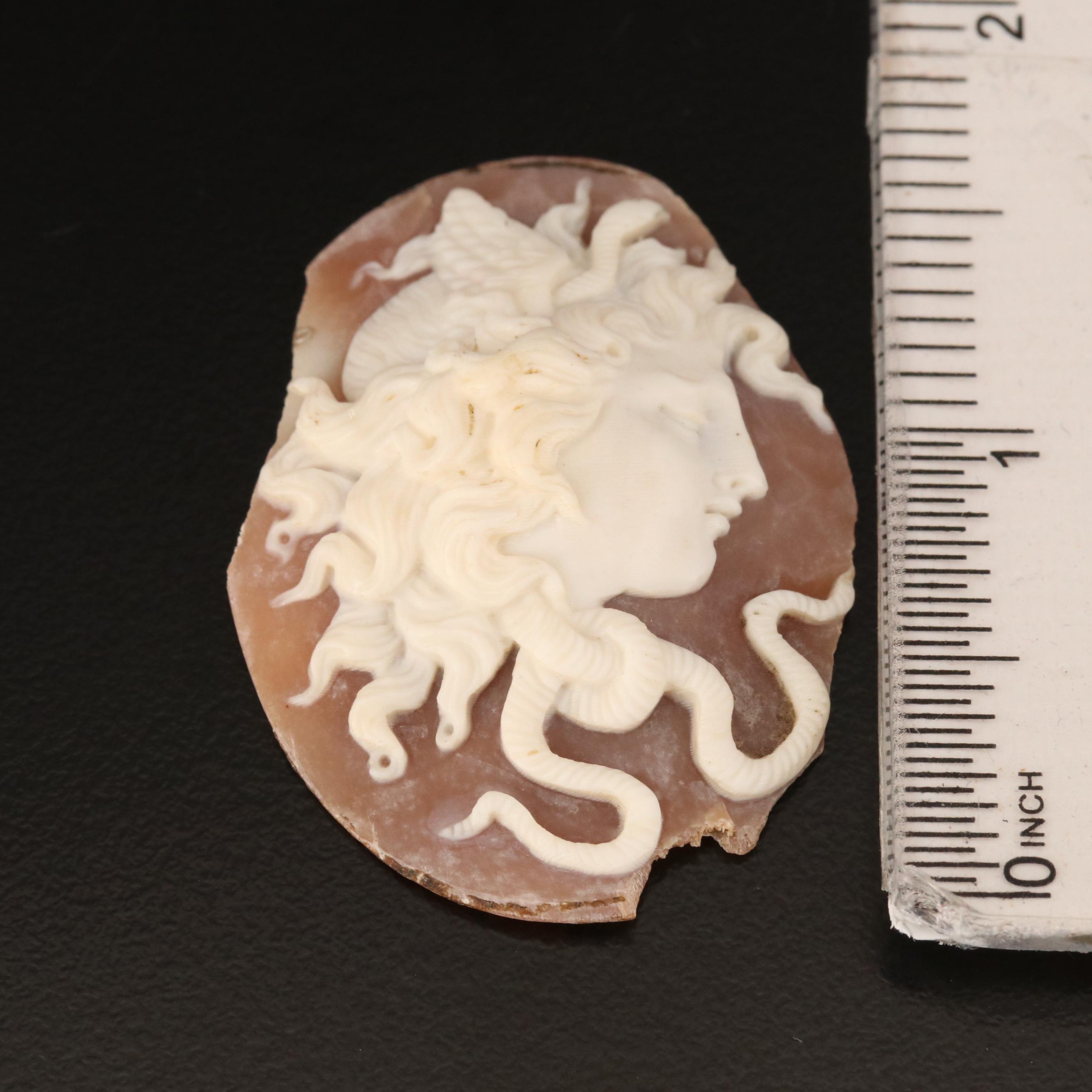 Loose Antique and Vintage Cameos Featuring Medusa