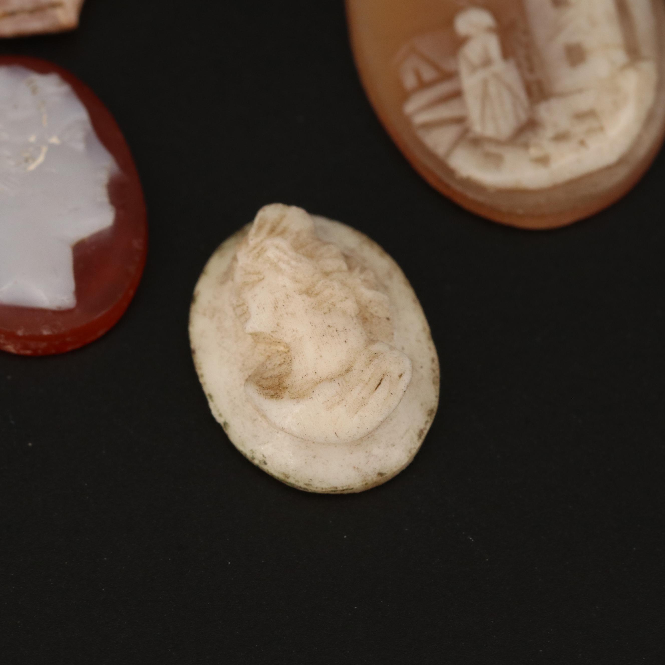Loose Antique and Vintage Cameos Featuring Medusa