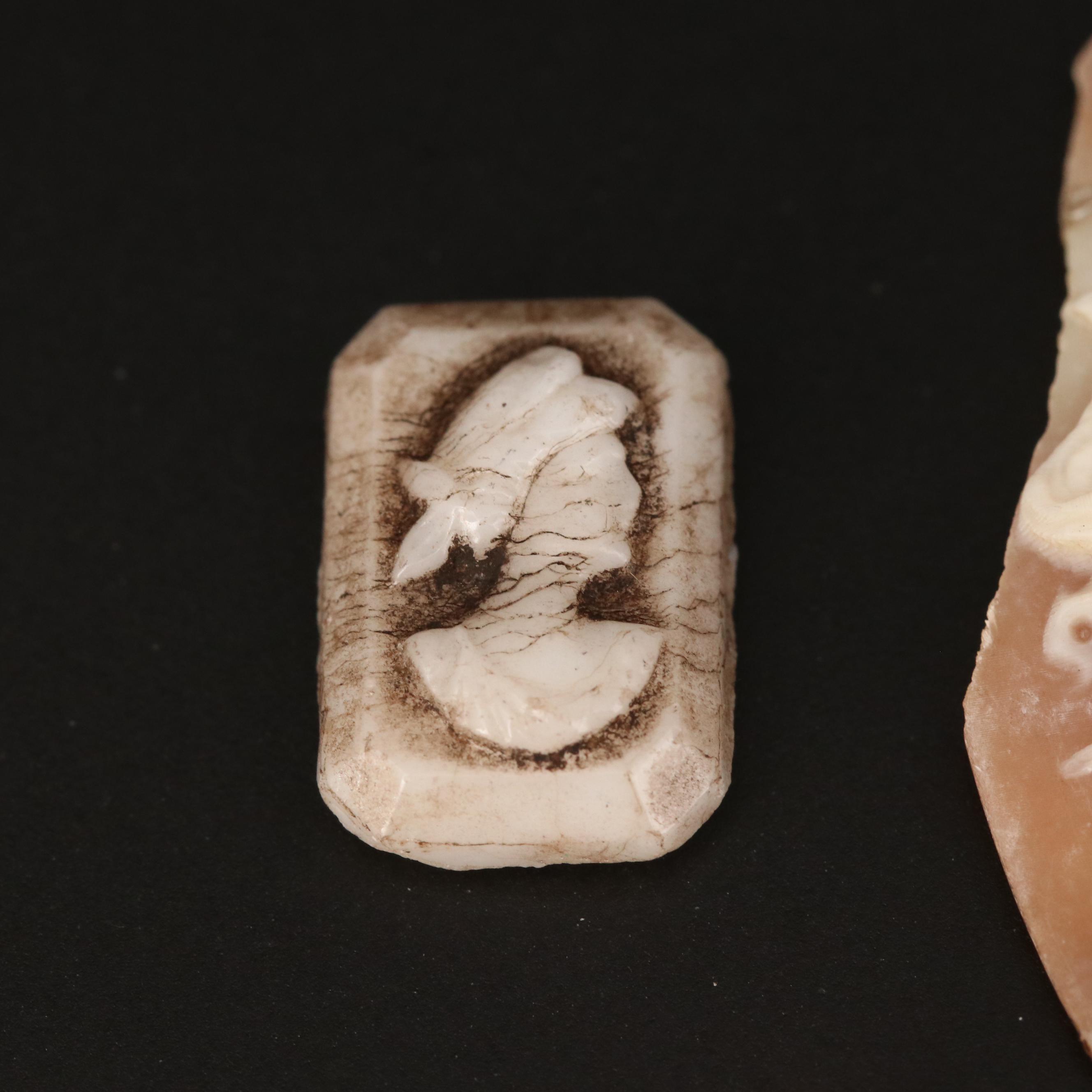 Loose Antique and Vintage Cameos Featuring Medusa