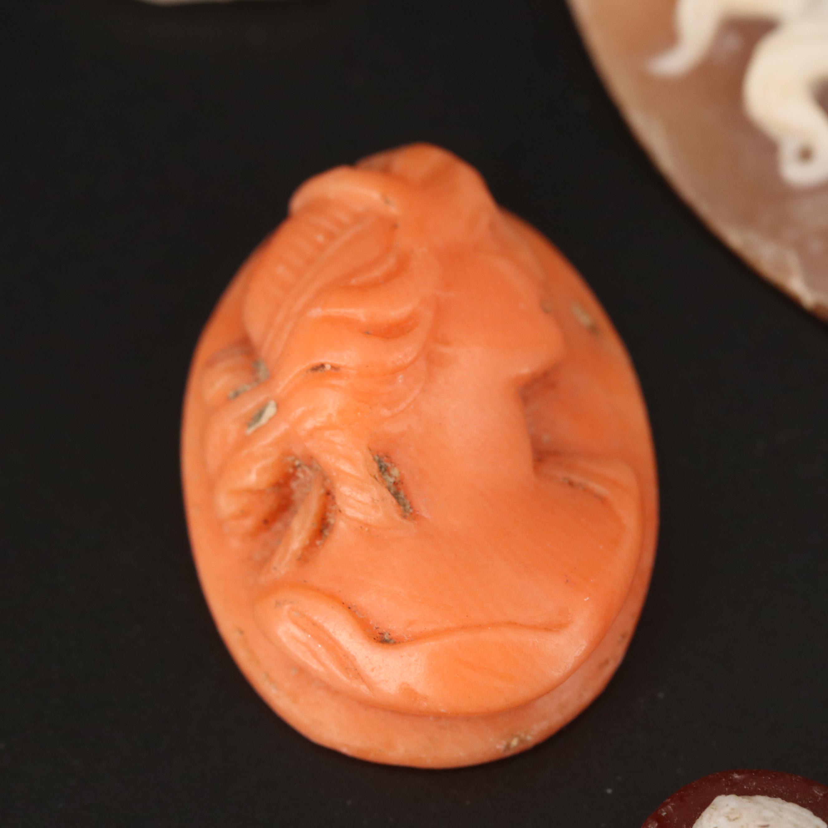 Loose Antique and Vintage Cameos Featuring Medusa