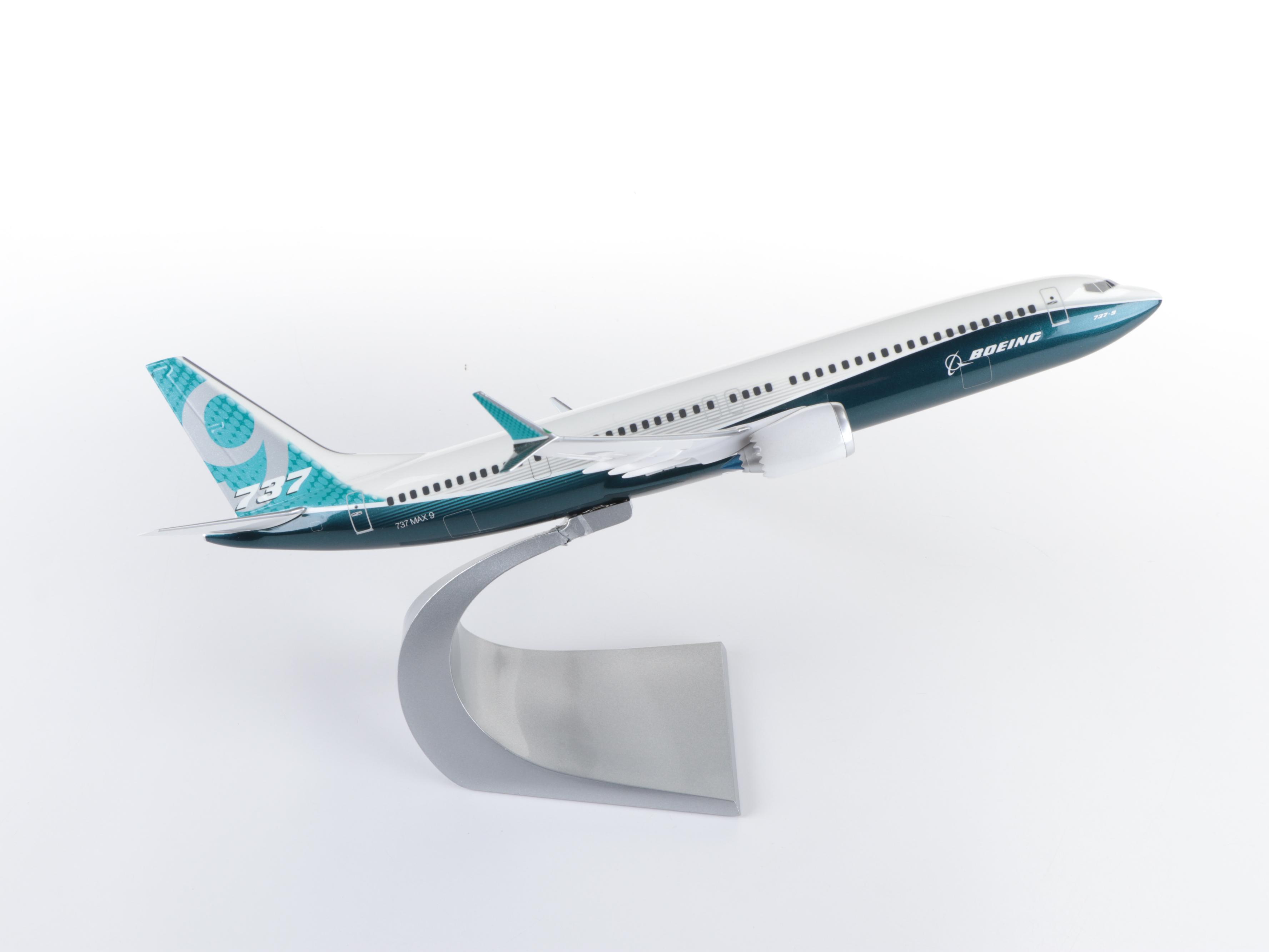 Hogan and Other Boeing 787 Dreamliner and 737 Max 9 Model Planes