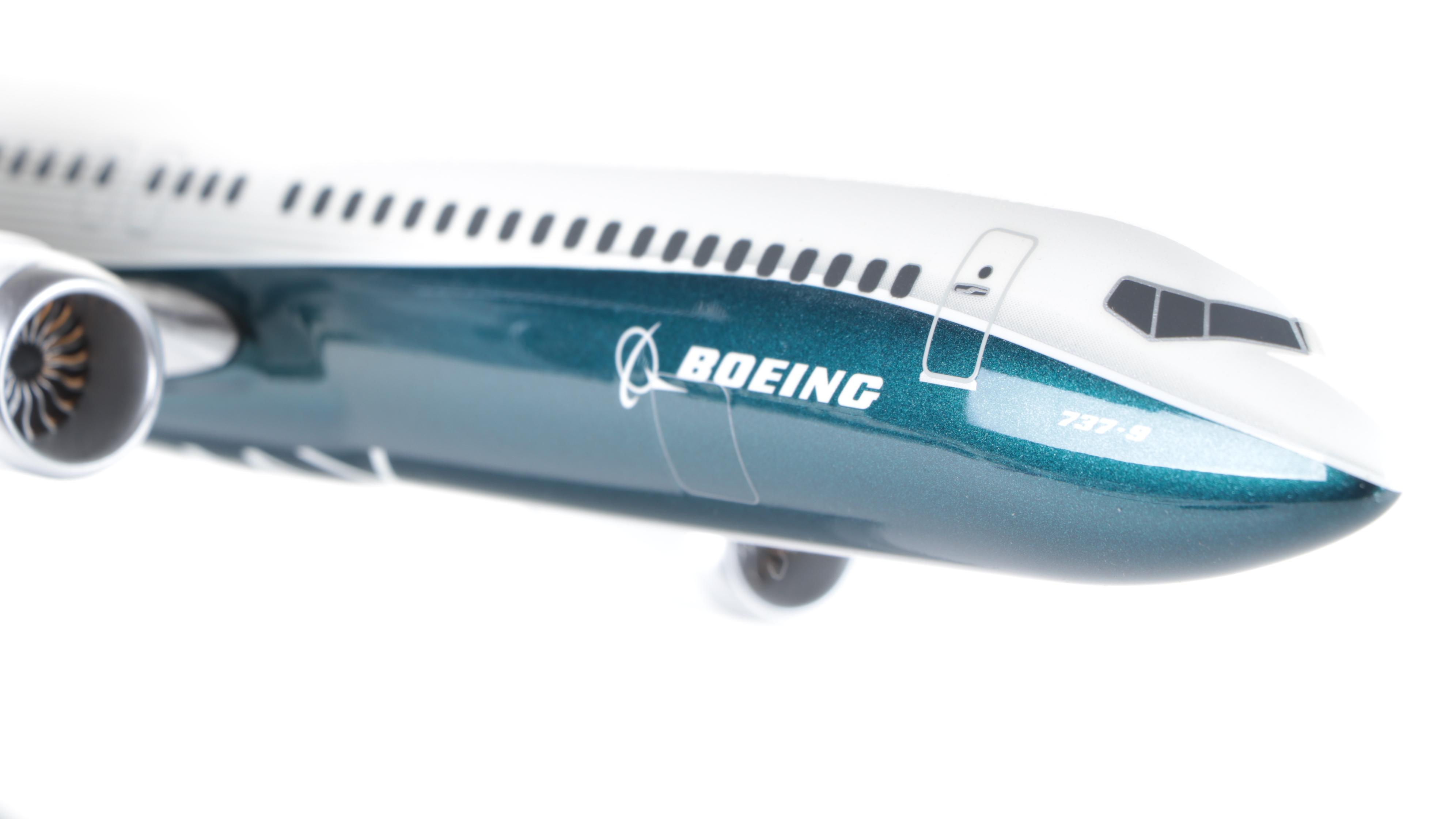 Hogan and Other Boeing 787 Dreamliner and 737 Max 9 Model Planes