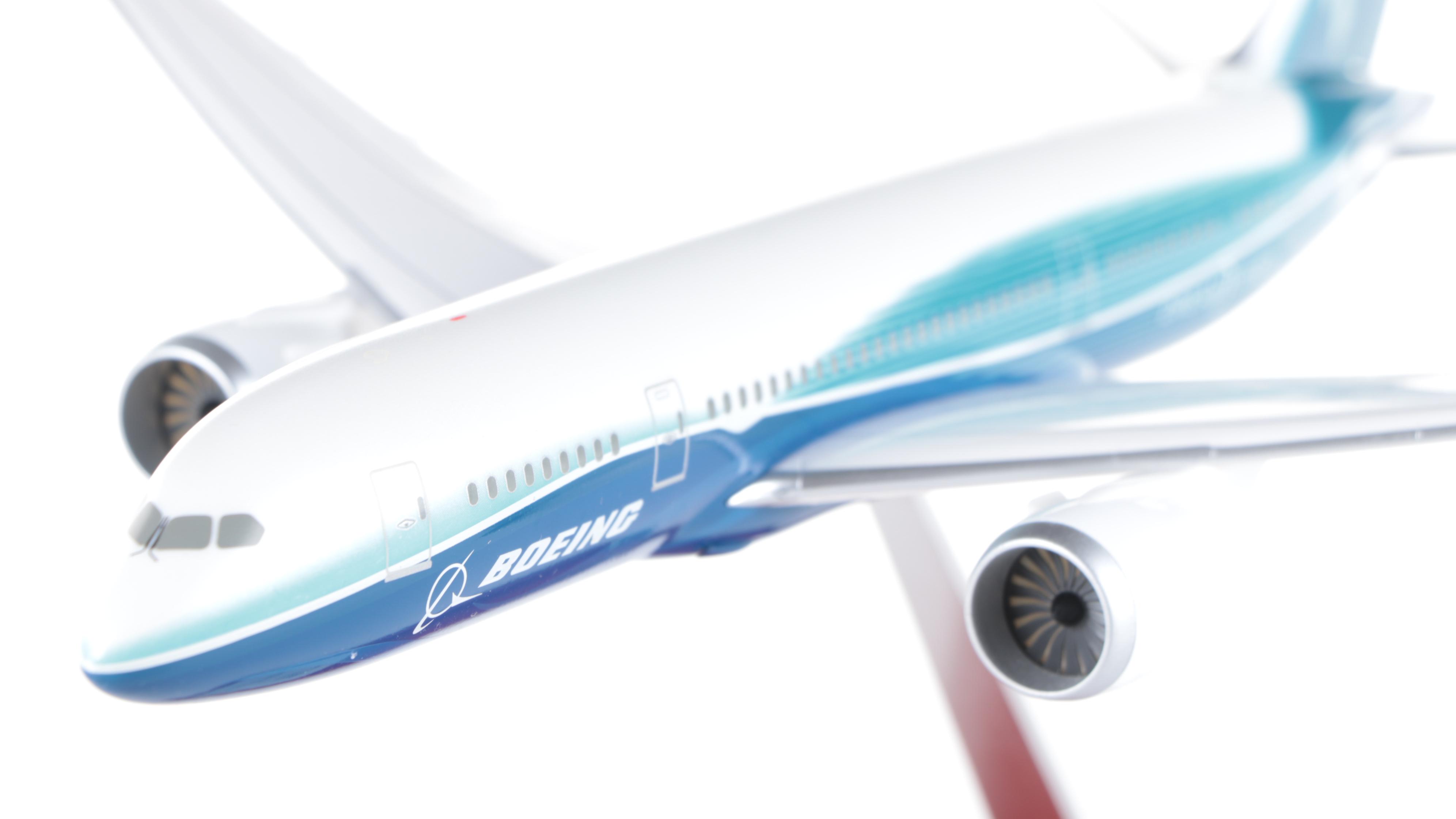 Hogan and Other Boeing 787 Dreamliner and 737 Max 9 Model Planes