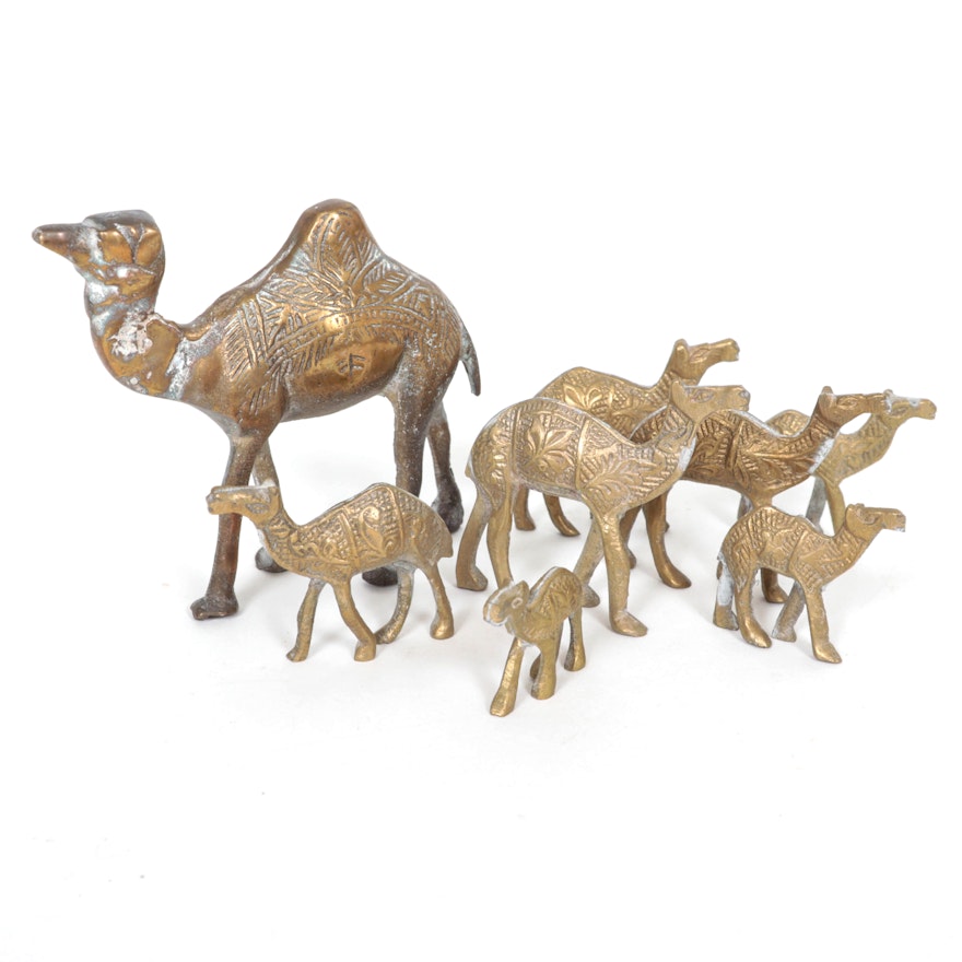 Brass Camel Figurines in Various Sizes