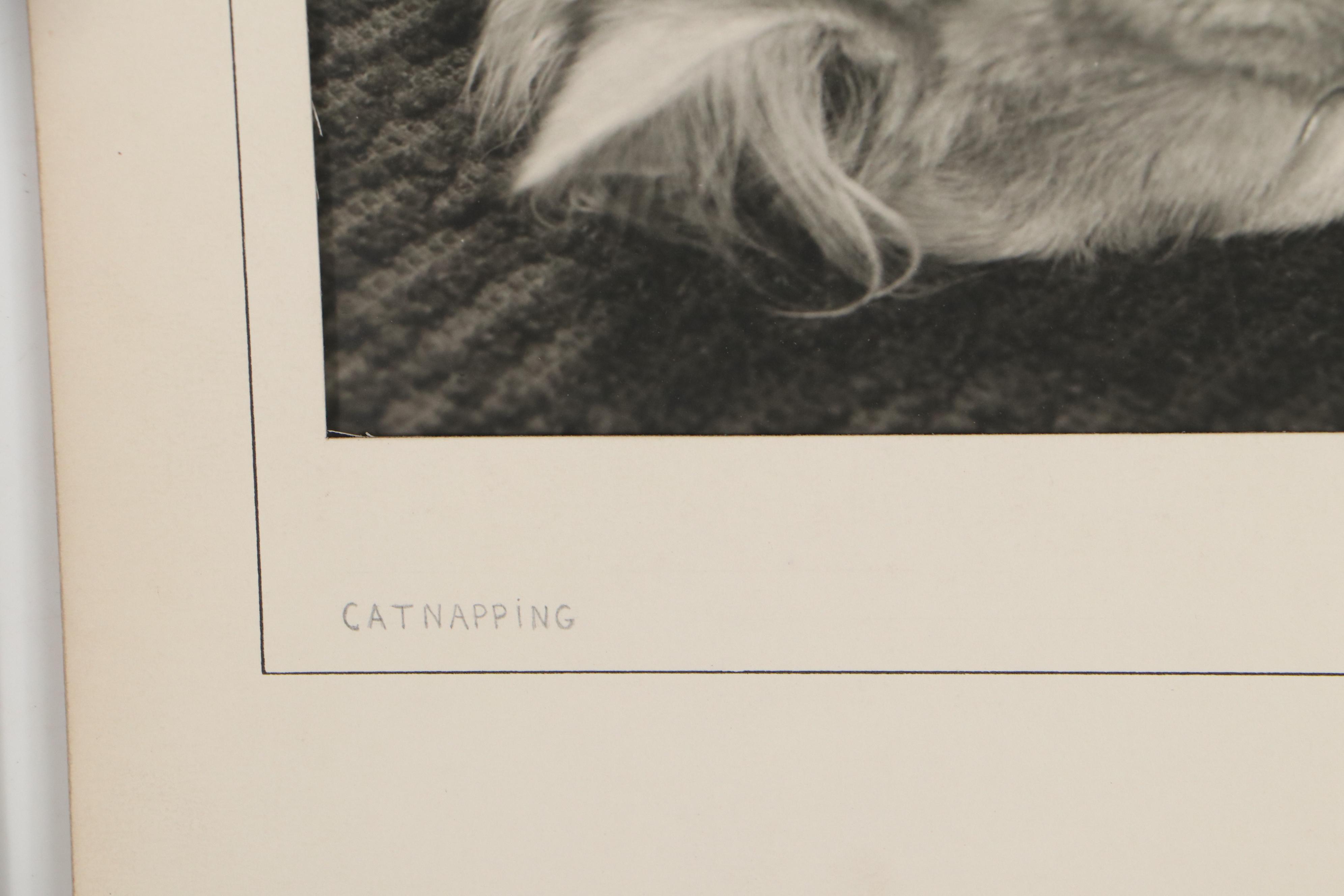 Grant Heist Silver Gelatin Photographs Including "Catnapping"