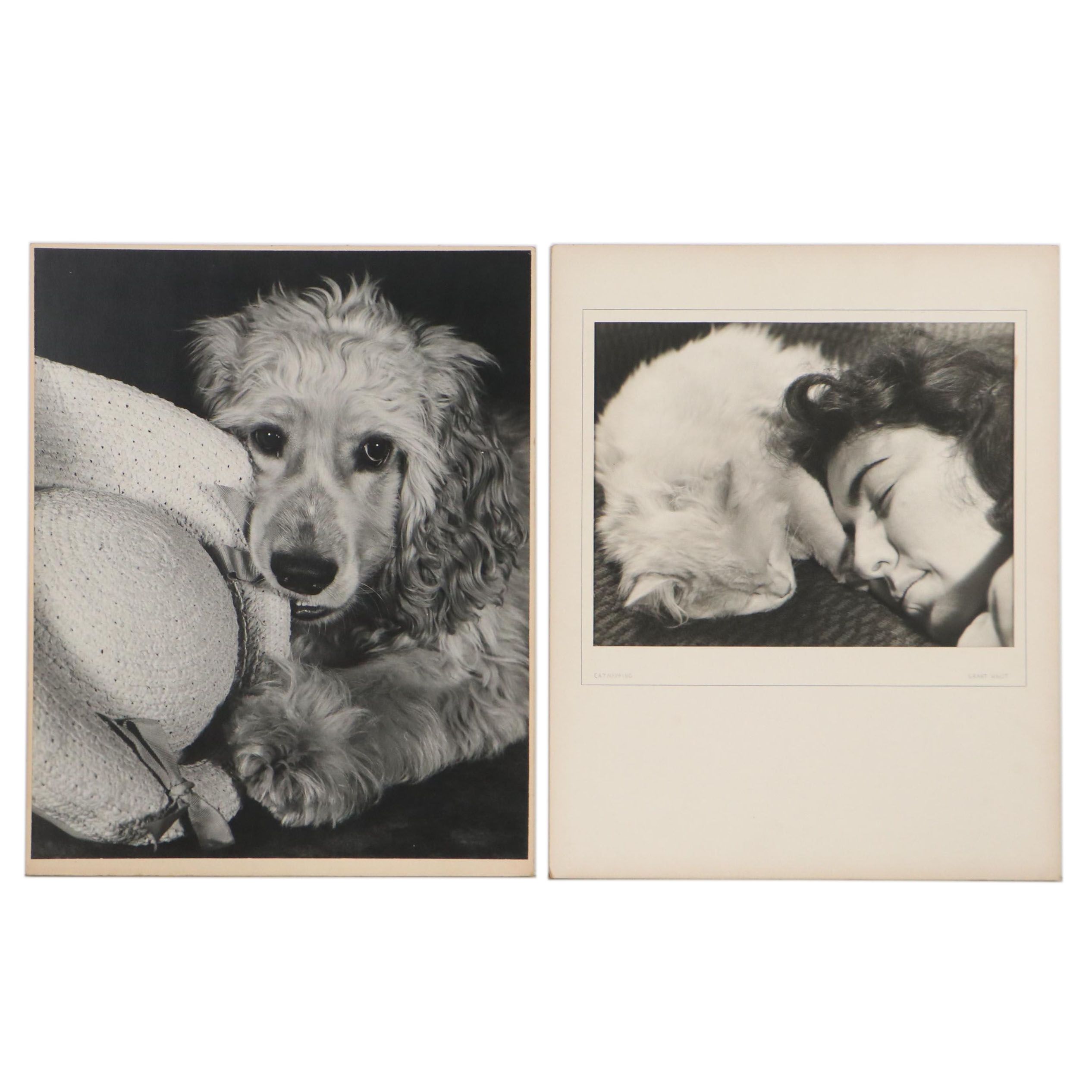 Grant Heist Silver Gelatin Photographs Including "Catnapping"