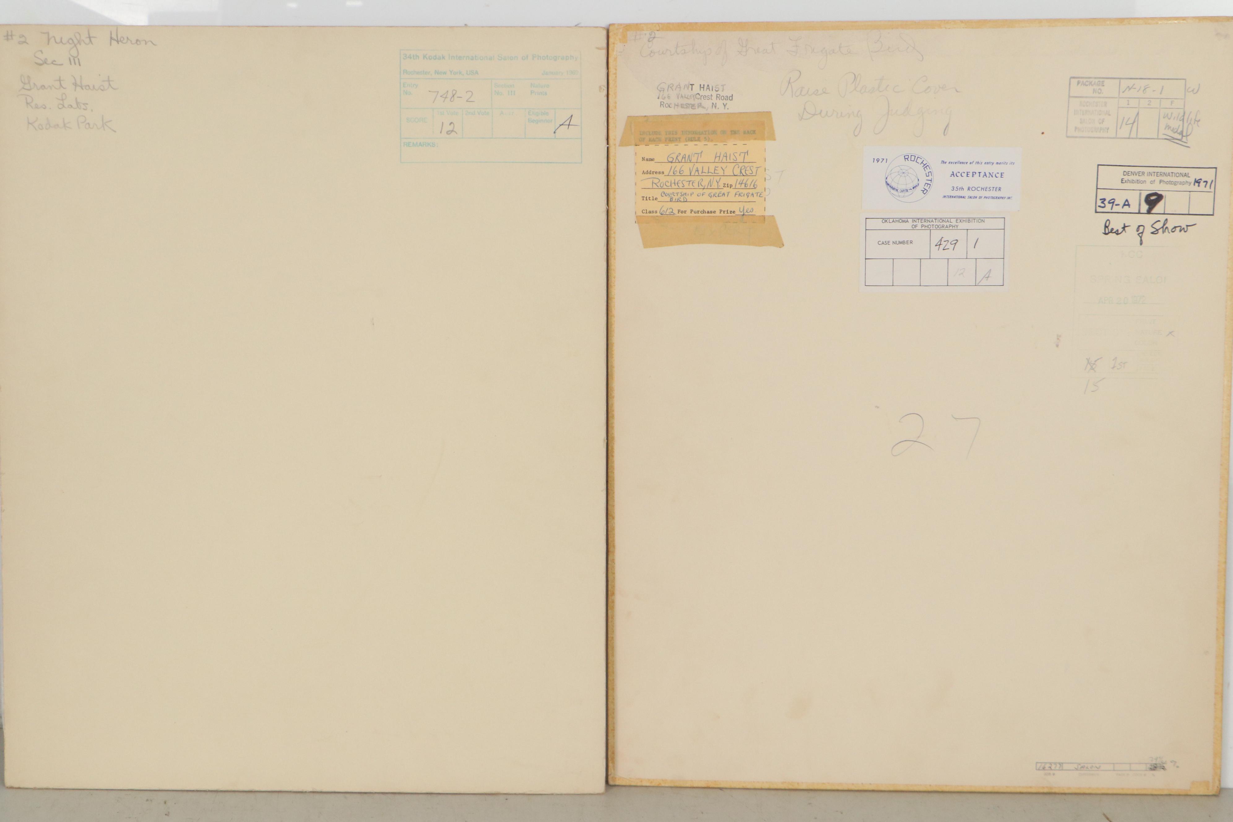 Grant Haist Chromogenic Photographs Night Heron and Great Frigate Bird