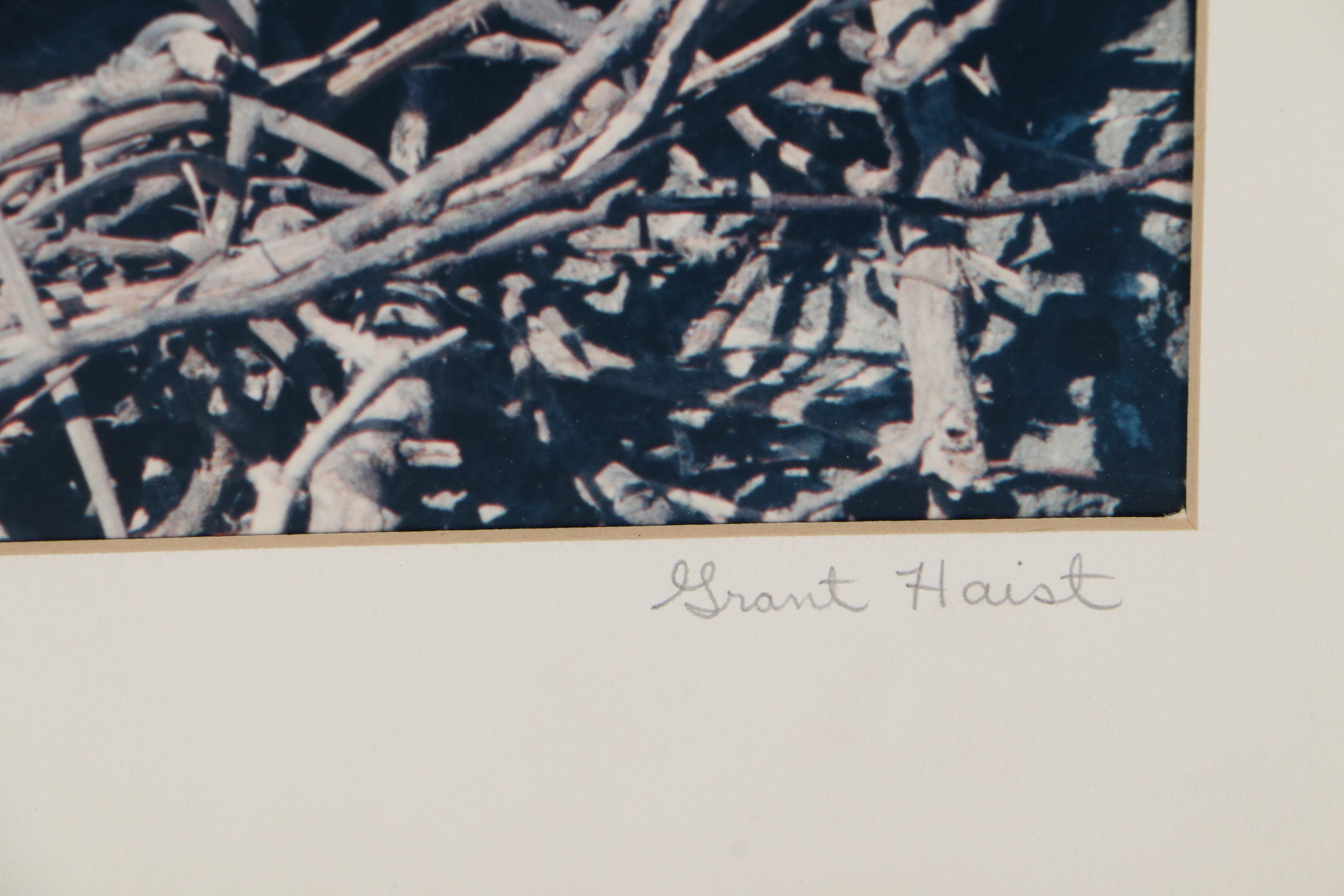 Grant Haist Silver Print Photographs of Birds
