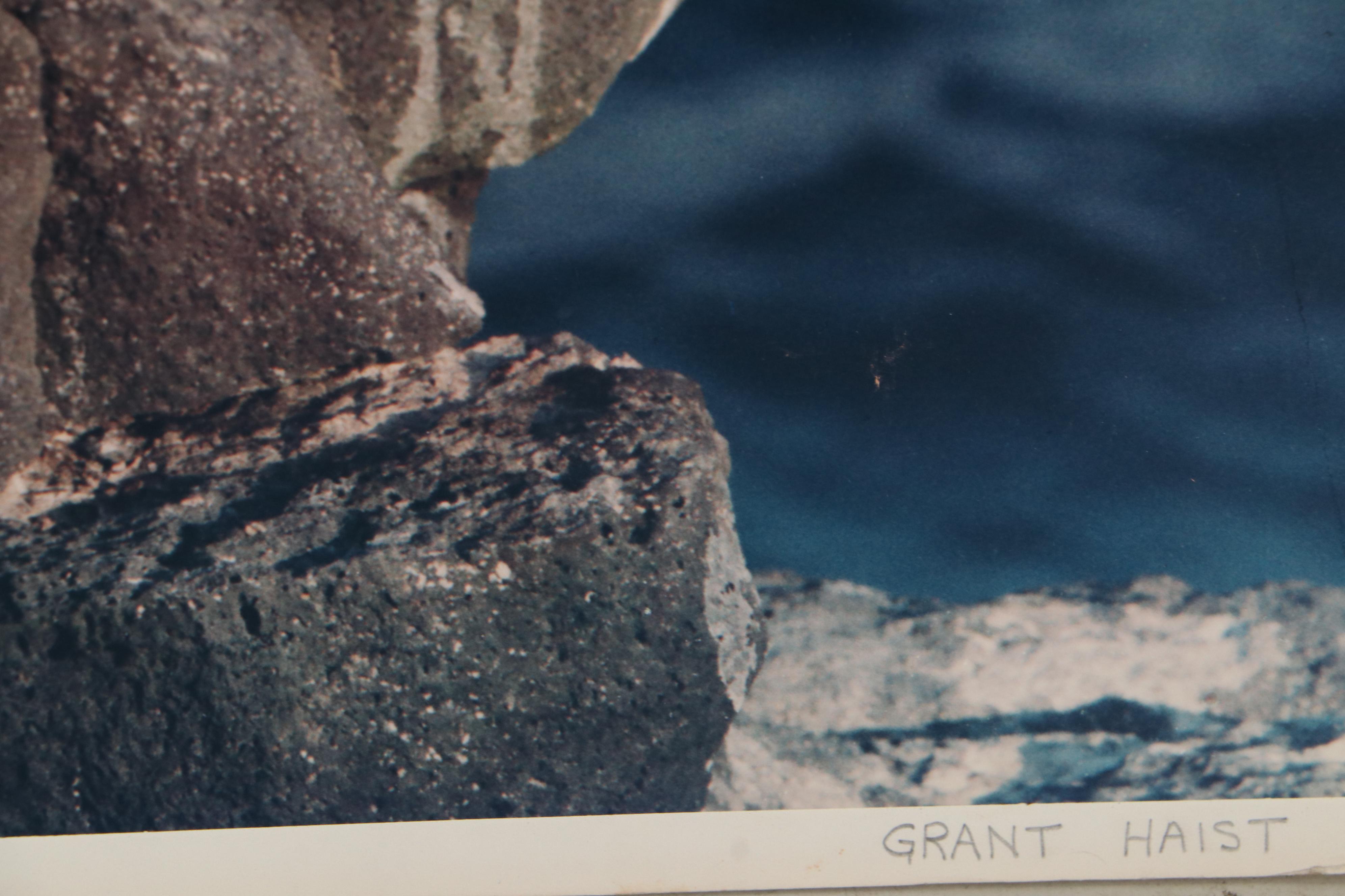 Grant Haist Silver Print Photographs of Birds