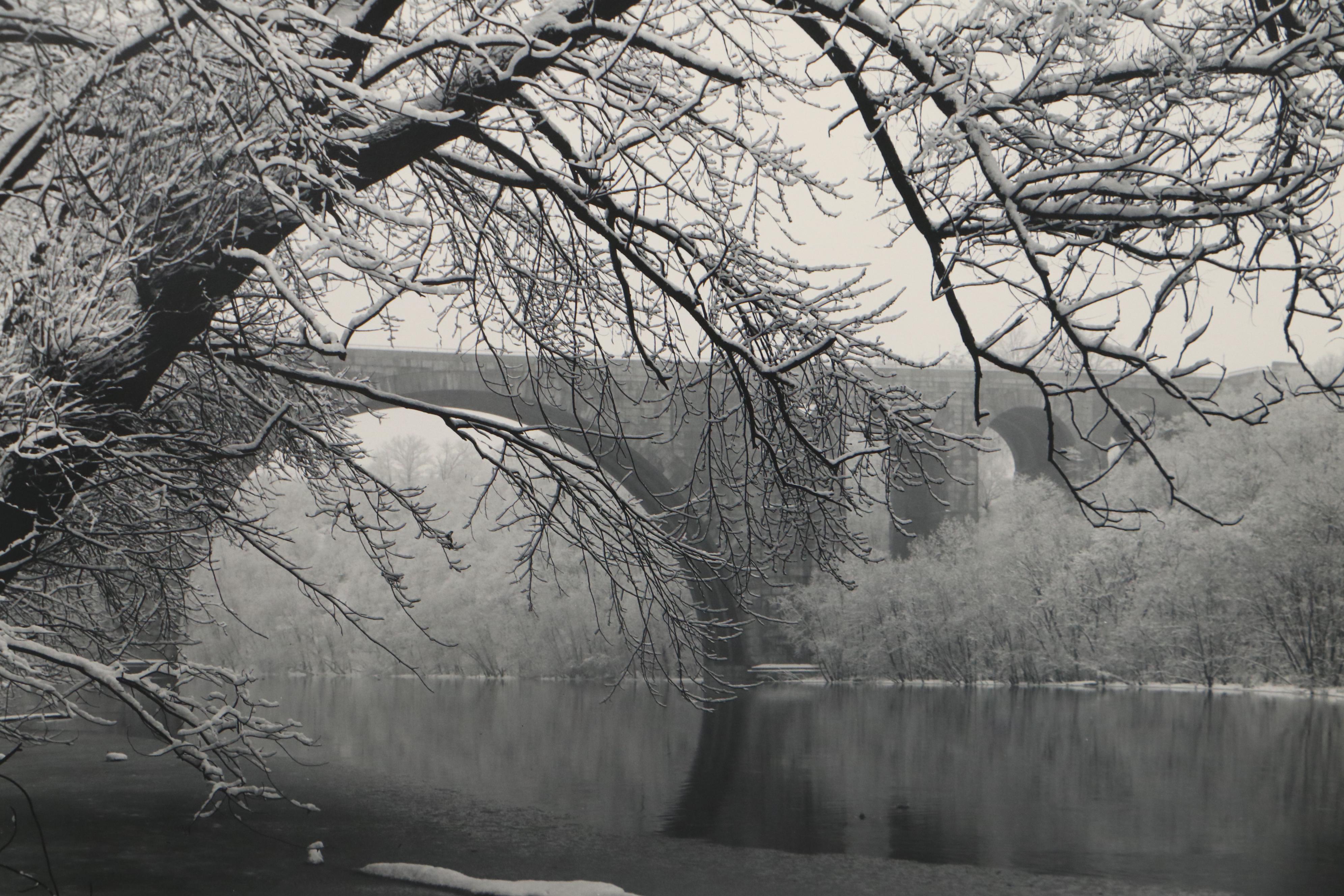 Grant Haist Silver Gelatin Landscape Photographs Including "The Forest"