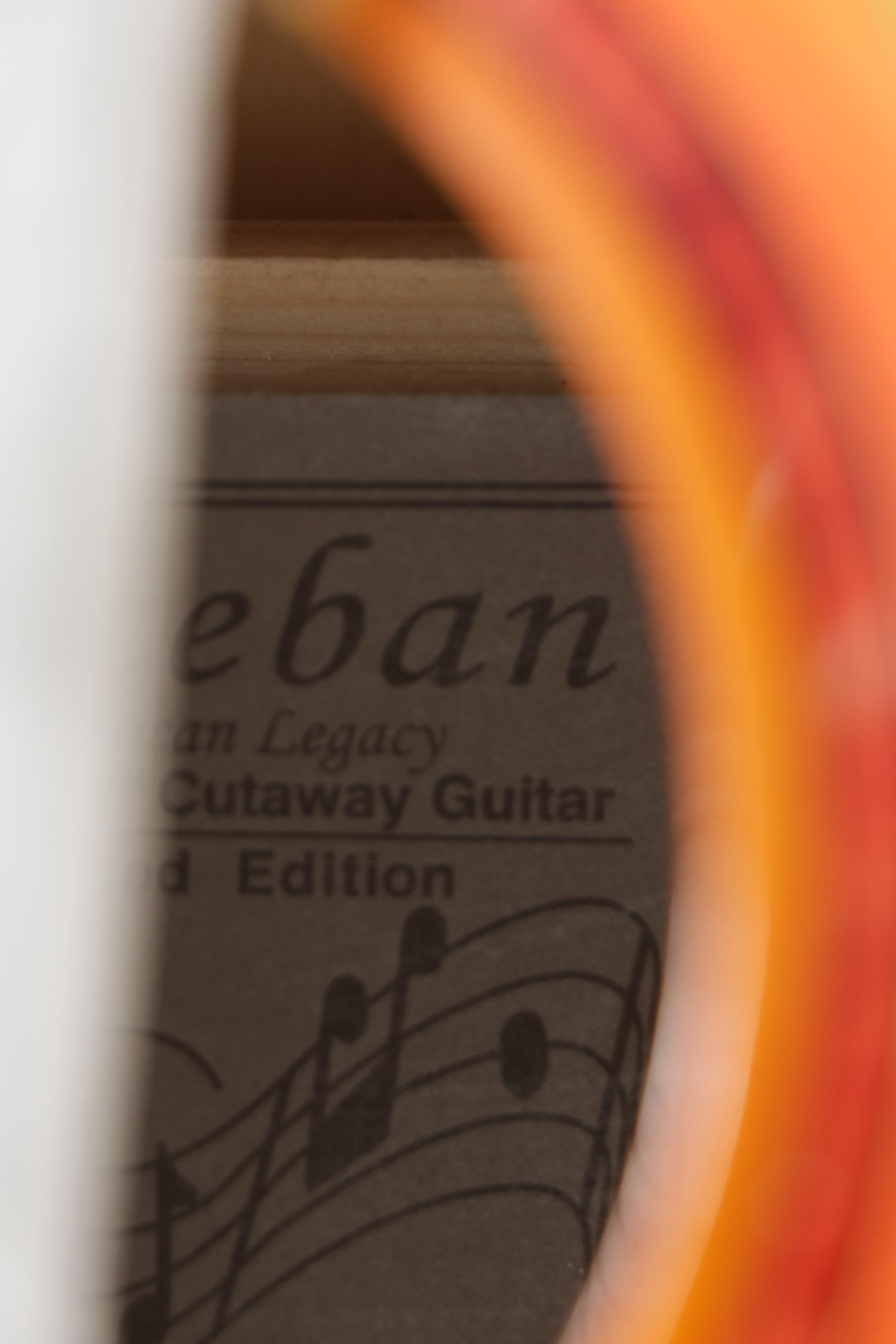 Esteban Limited Edition Coral Sun Steel String Cutaway Guitar With Carrying Case