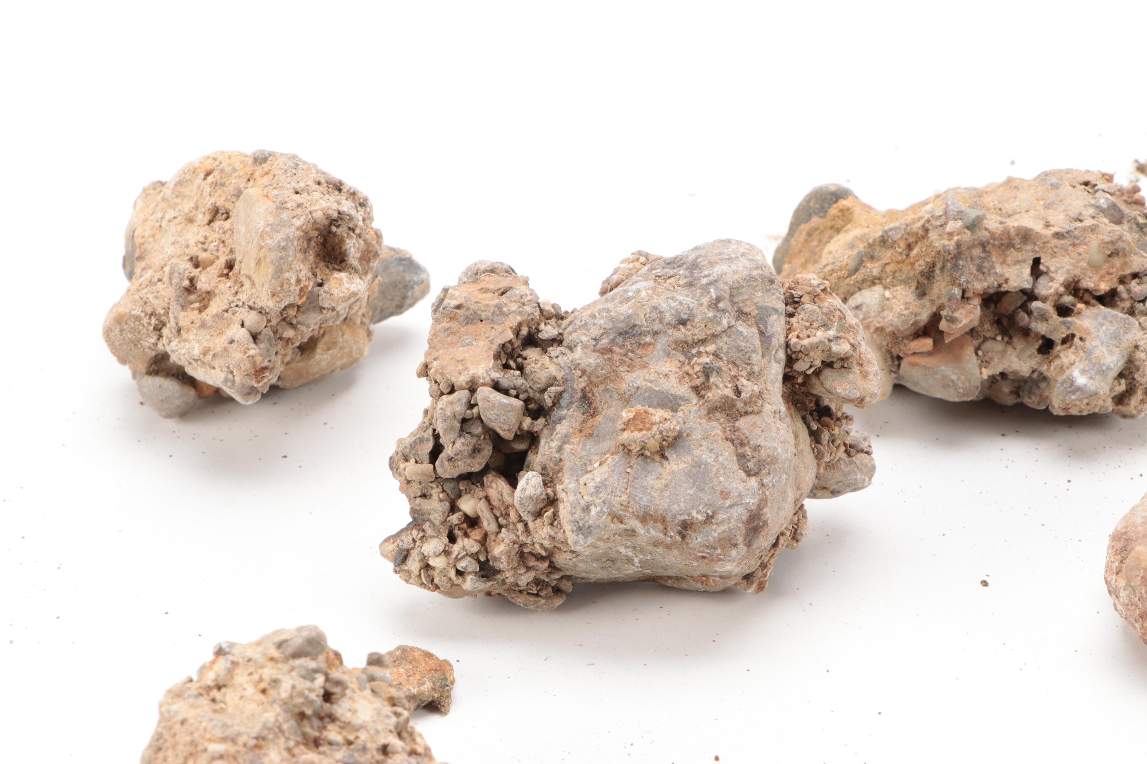 Mica and Glacial Conglomerate Specimens