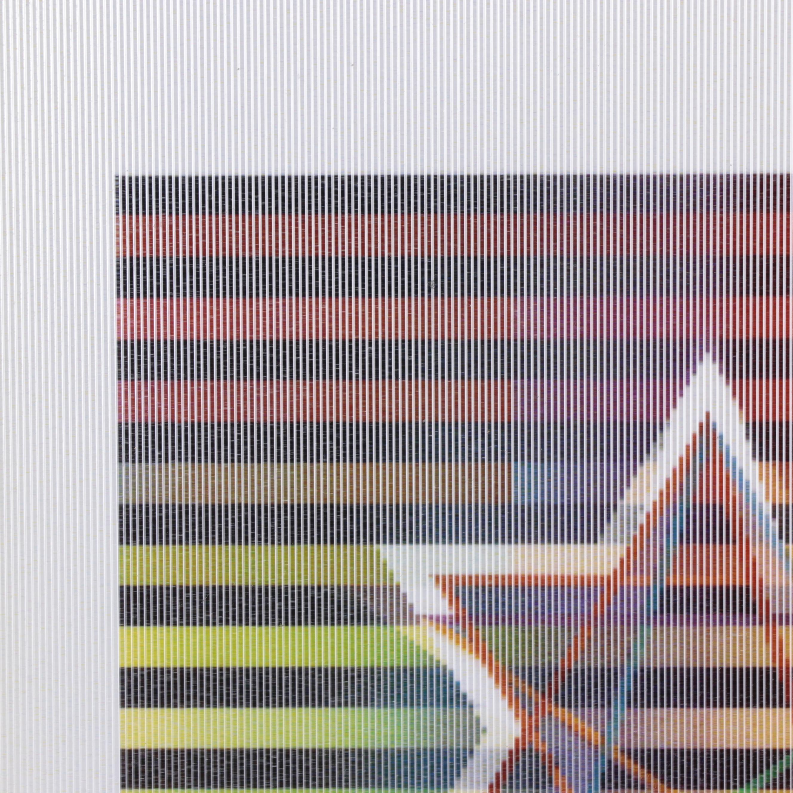 Yaacov Agam Op Art Agamograph "Star of David"