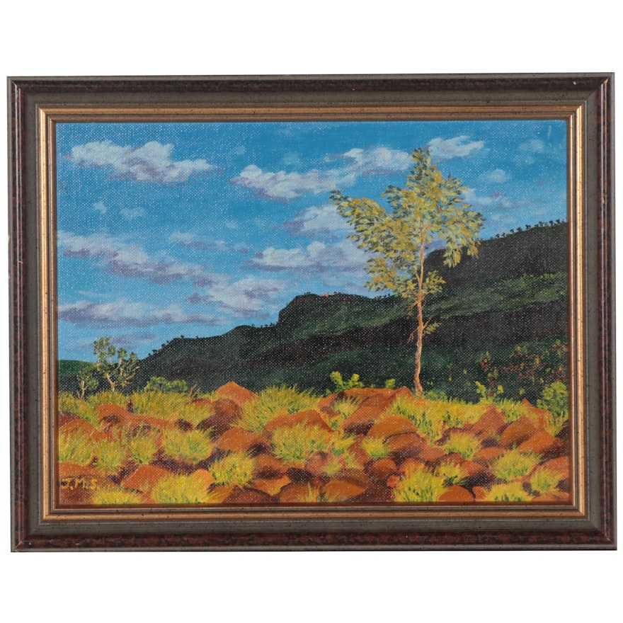 Landscape Acrylic Painting of Kimberley, Australia, 1990