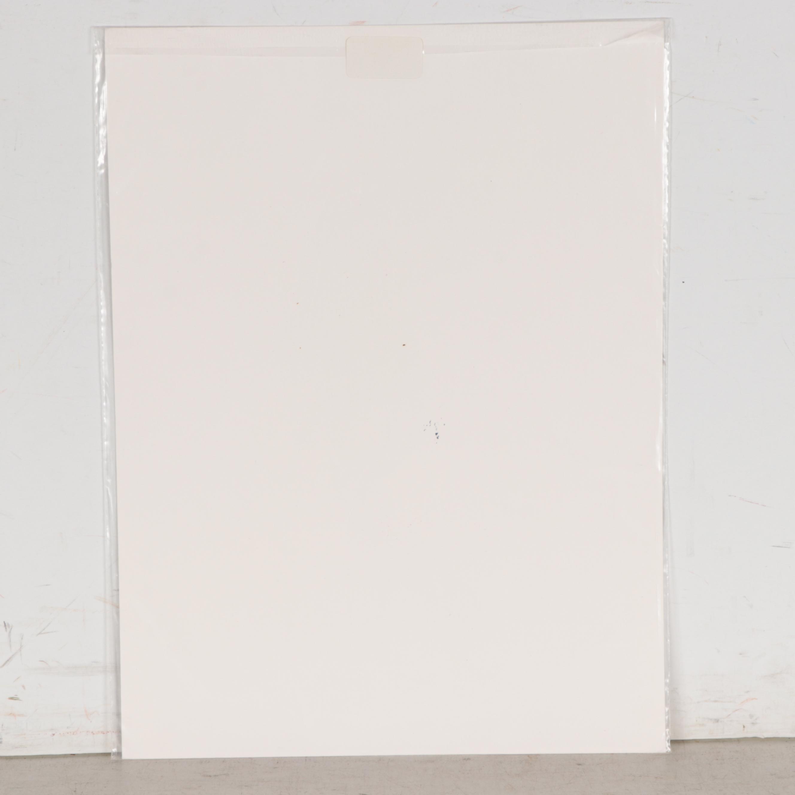 Margaret Voelker-Ferrier Watercolor Illustration