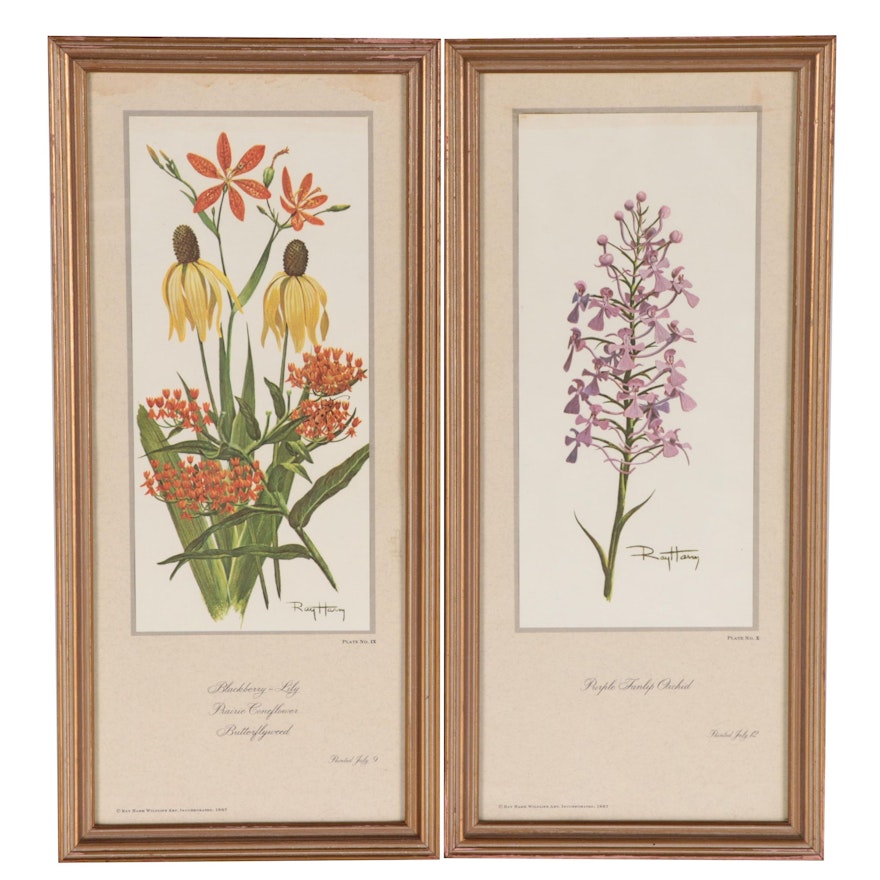 Floral Offset Lithographs After Ray Harm