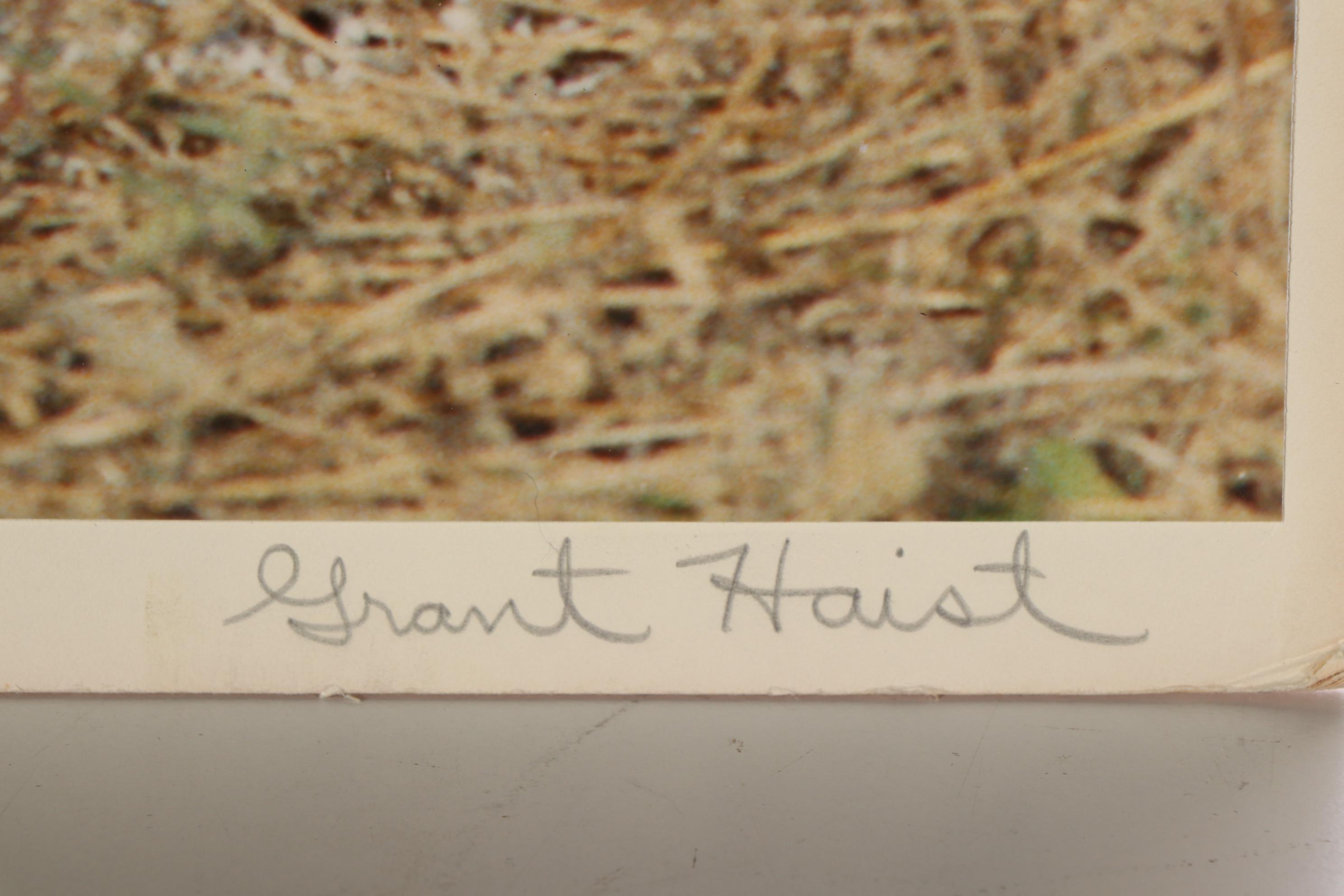 Grant Haist Silver Print Photographs Including "Galapagos Night Heron"