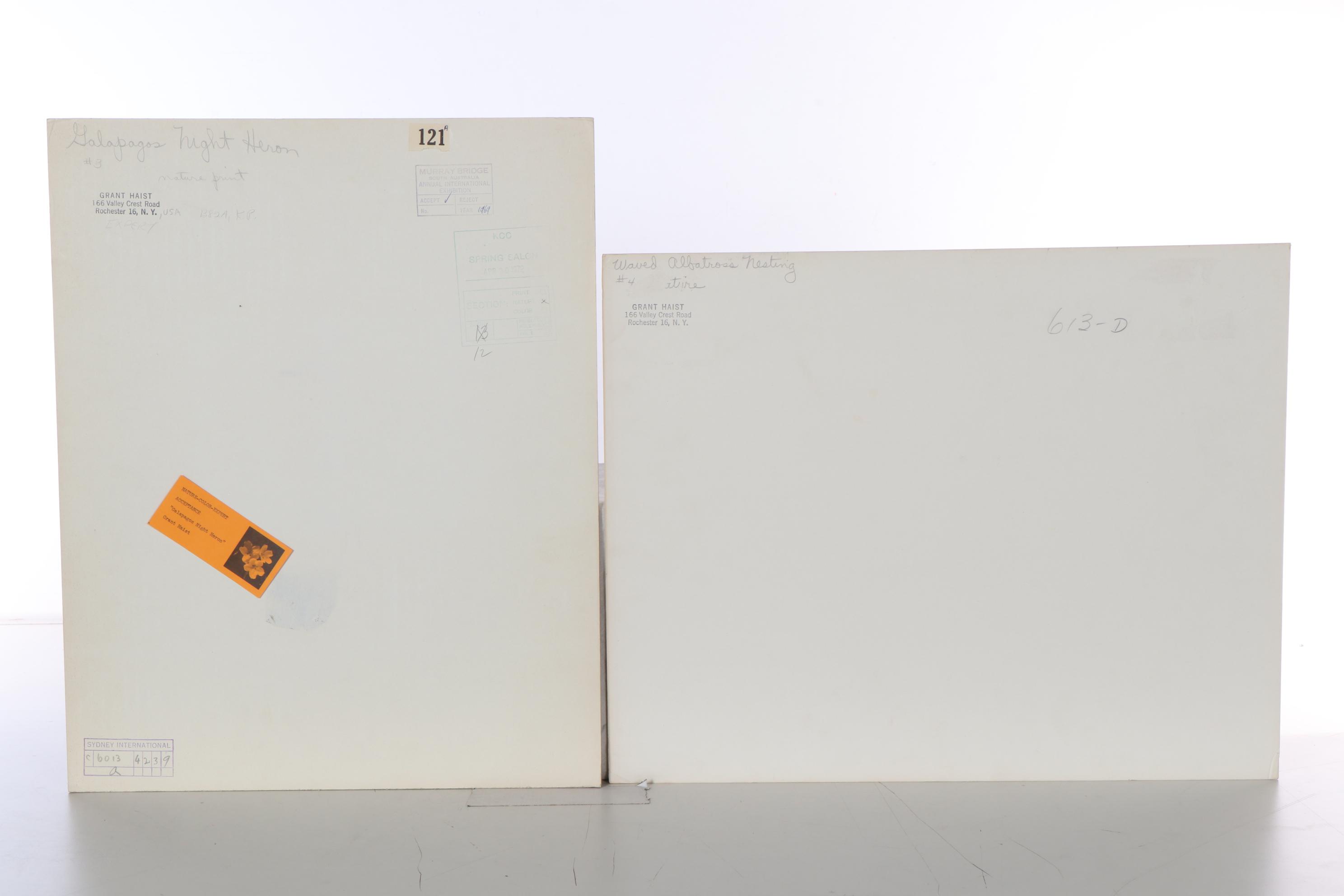 Grant Haist Silver Print Photographs Including "Galapagos Night Heron"