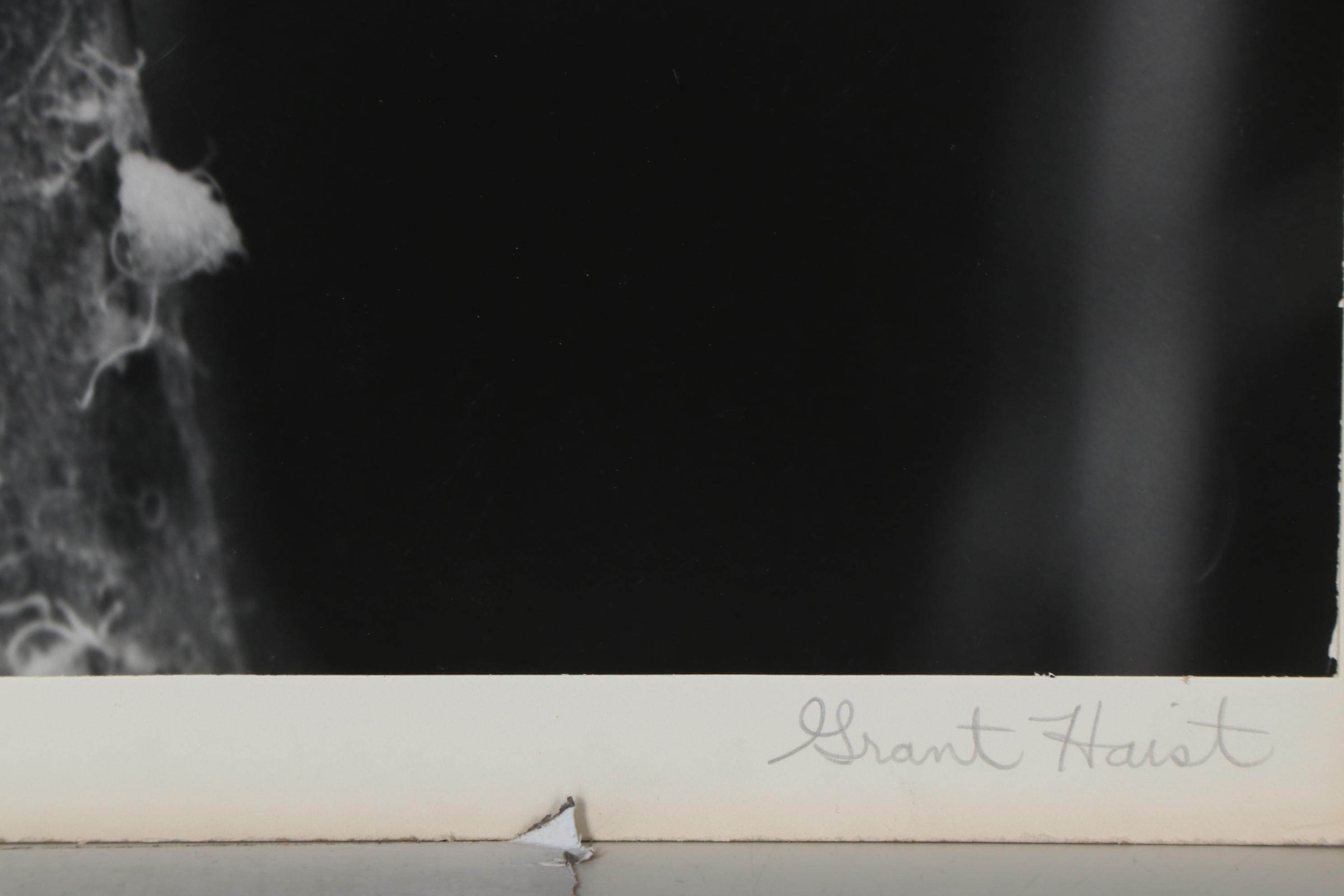 Grant M. Haist Silver Print Photographs Including "Cotton-Backed Aphids"