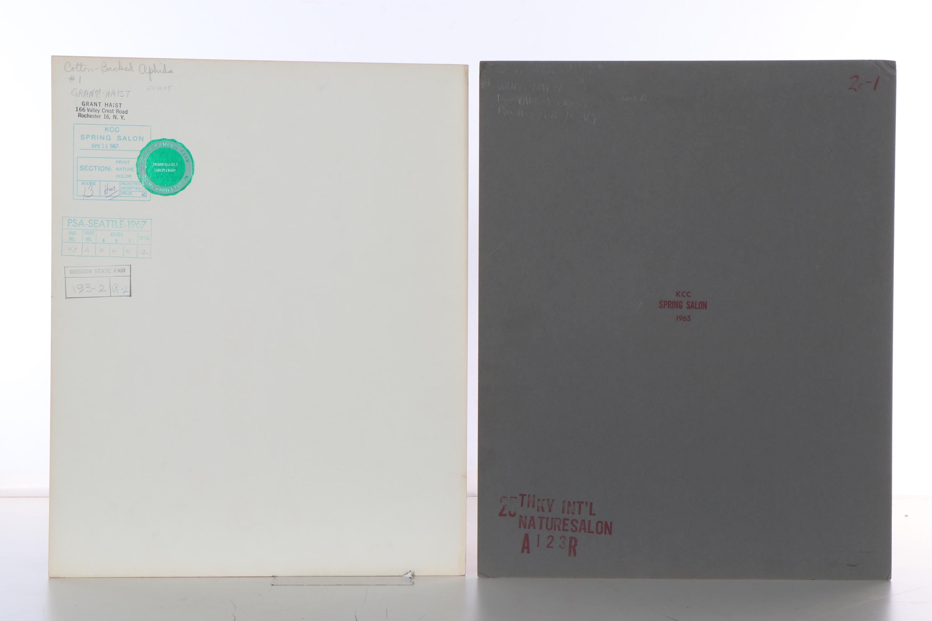 Grant M. Haist Silver Print Photographs Including "Cotton-Backed Aphids"