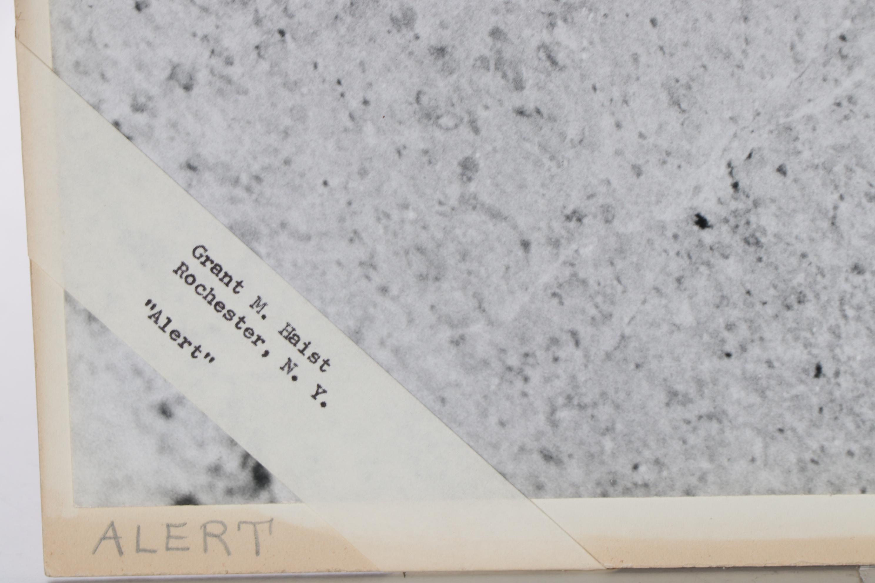 Grant Haist Silver Print Photograph "Alert"