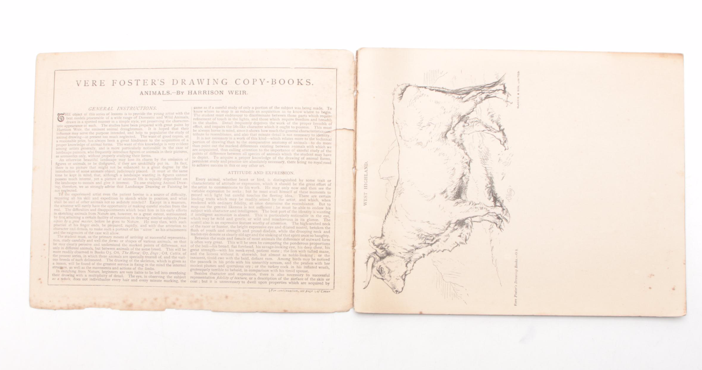 "Vere Foster's Drawing Book" Series Including Animals, Mid to Late 19th Century